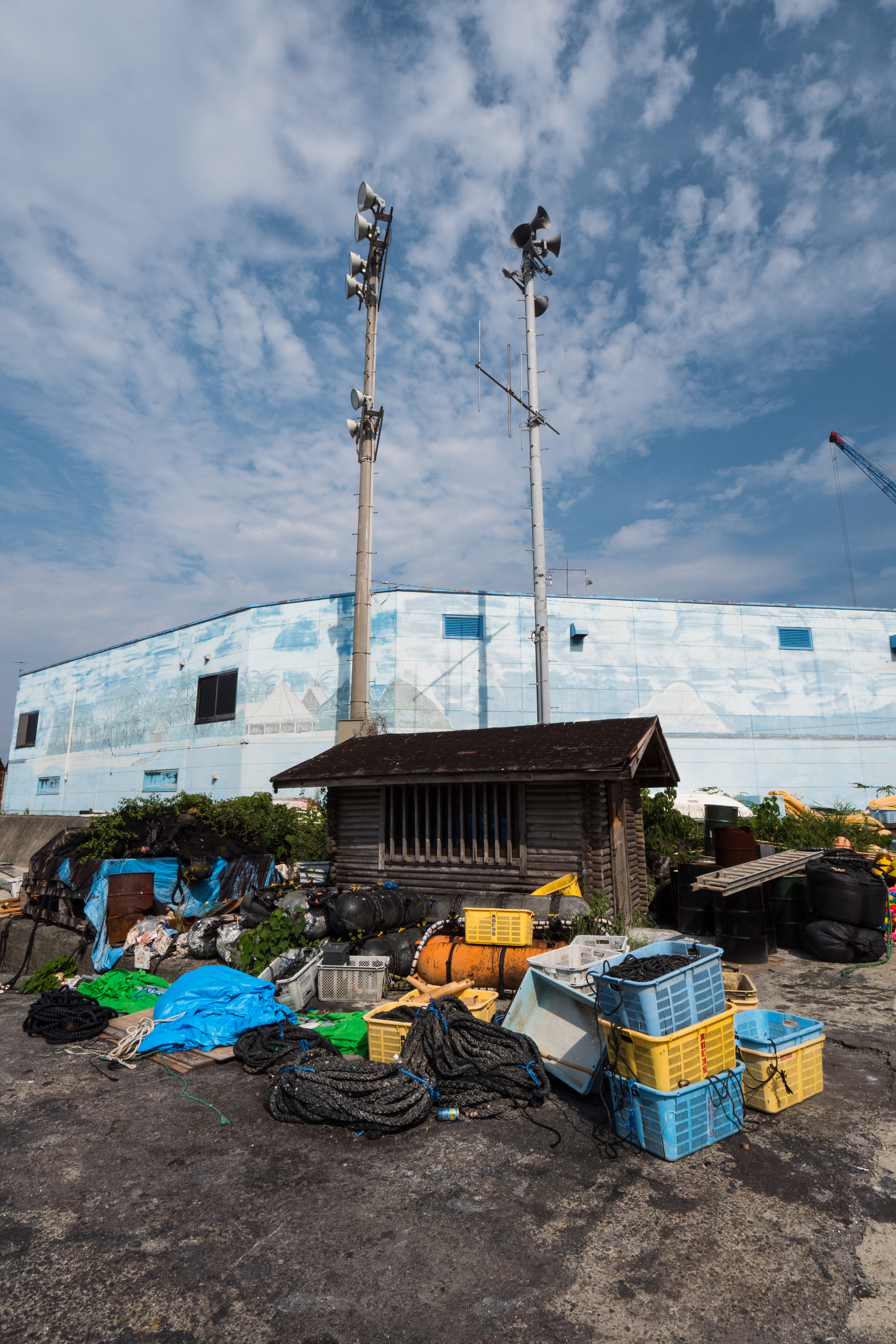 LUMIX GH5 / LEICA DG VARIO-ELMARIT 8-18mm / F2.8-4.0 ASPH. / 1/500秒 / F11 / 0EV / ISO200 / 絞り優先AE / 8mm