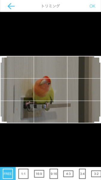 6：PERSTEXTでトリミングを指定し、テキスト挿入の編集画面へ