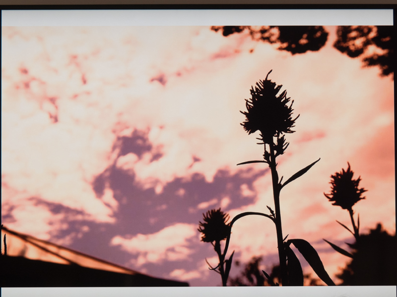 カラークリエーターの作例