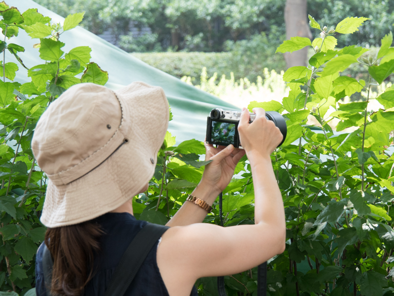 実地撮影後の講評会の様子