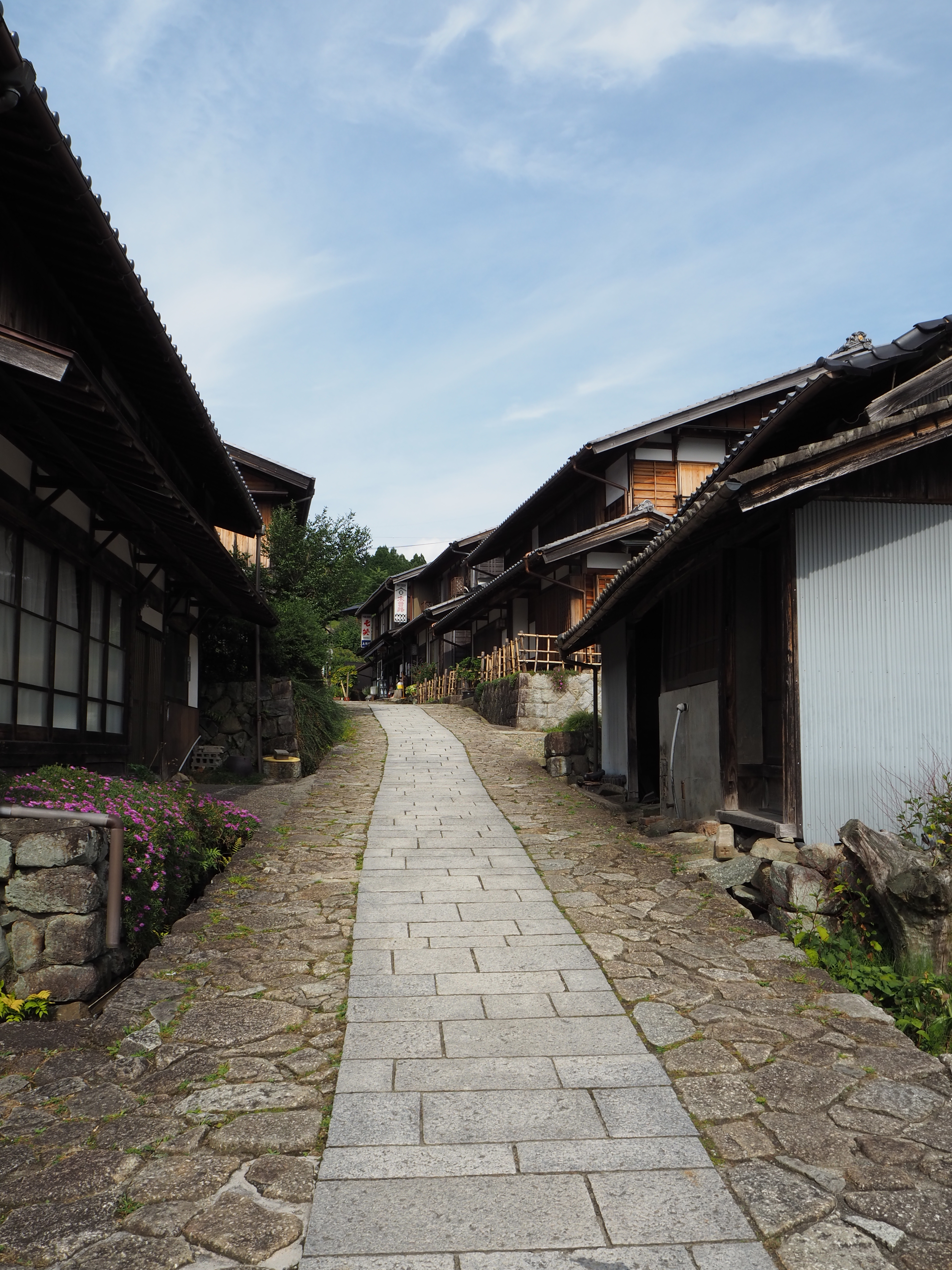 E-M10 Mark III / M.ZUIKO DIGITAL ED 14-42mm F3.5-5.6 EZ / 1/400秒 / F8 / 0EV / ISO 200 / 絞り優先AE / 14mm