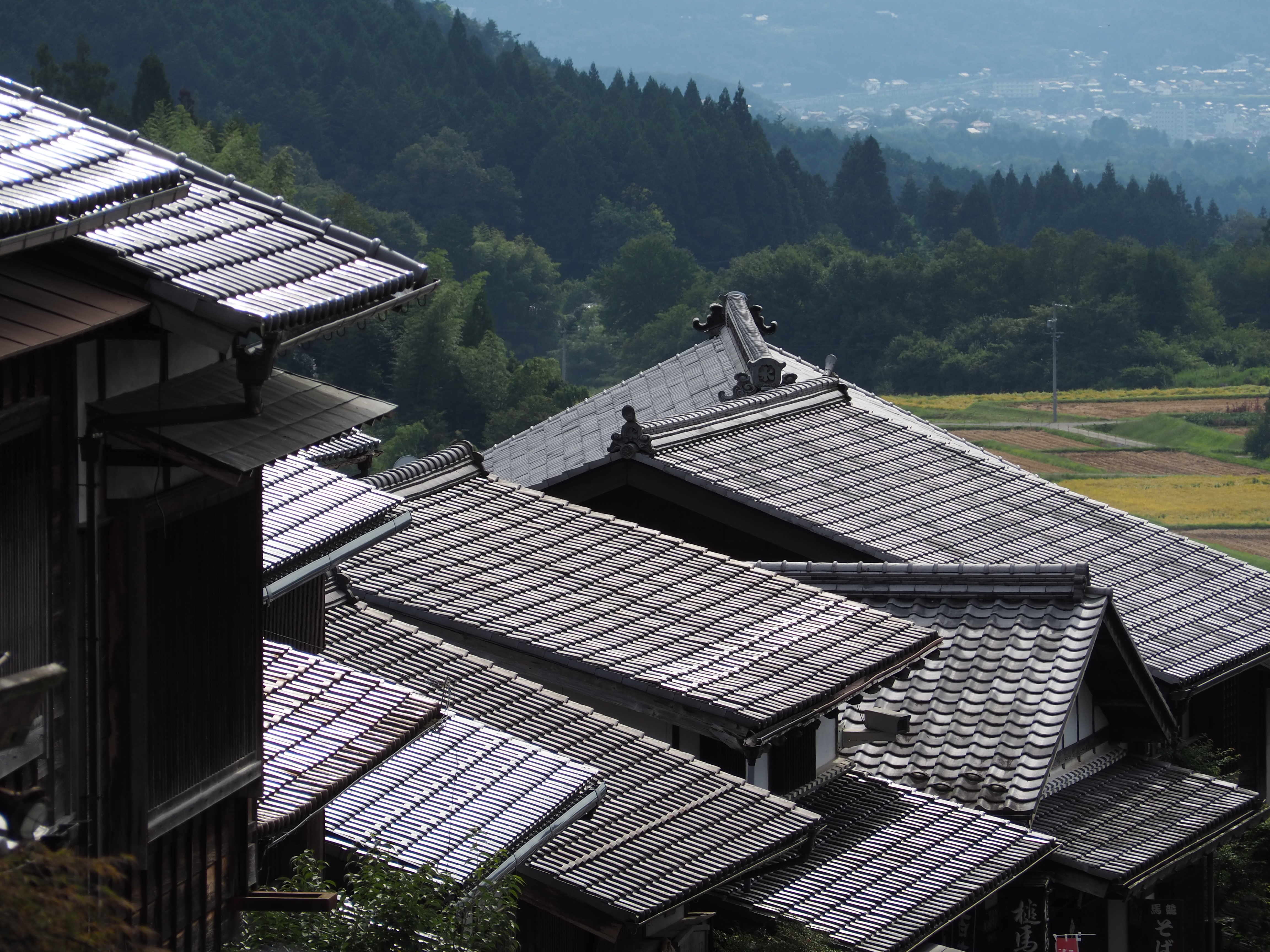 E-M10 Mark III / M.ZUIKO DIGITAL ED 40-150mm F4.0-5.6 R / 1/640秒 / F8 / -0.3EV / ISO 200 / 絞り優先AE / 150mm