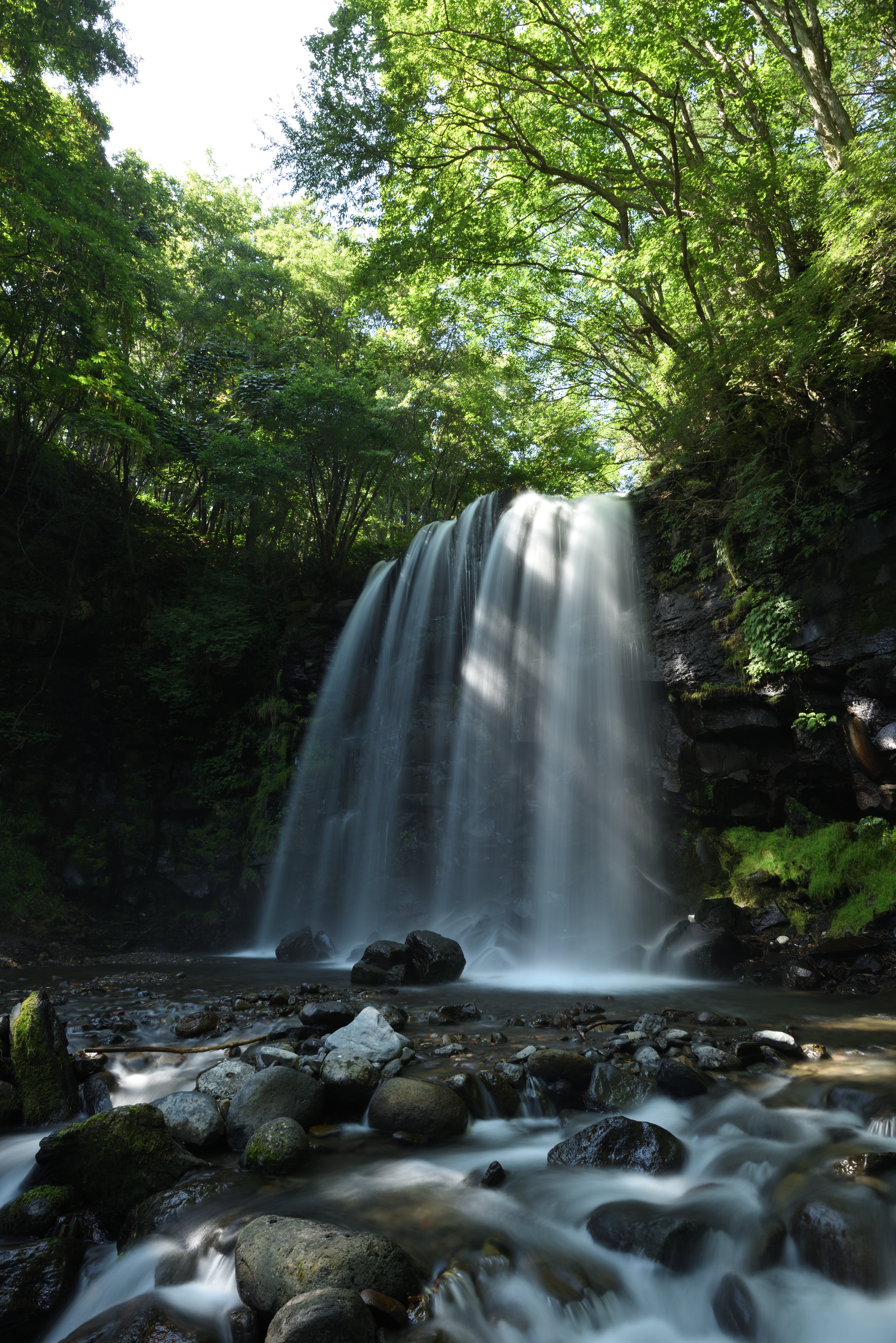 ZX ND16のみ（赤枠内を等倍で表示）
