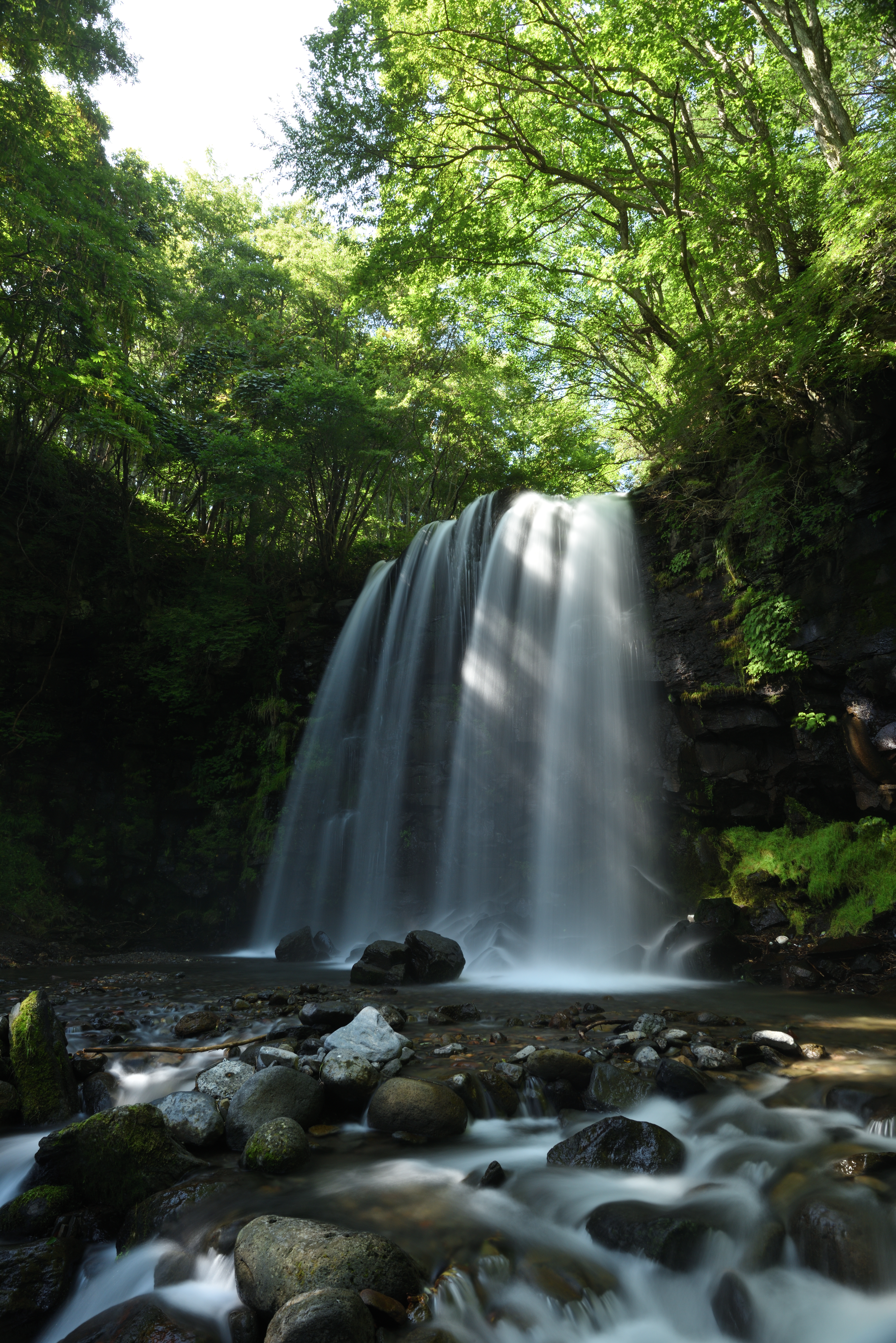 ZX C-PL+ZX ND16（赤枠内を等倍で表示）