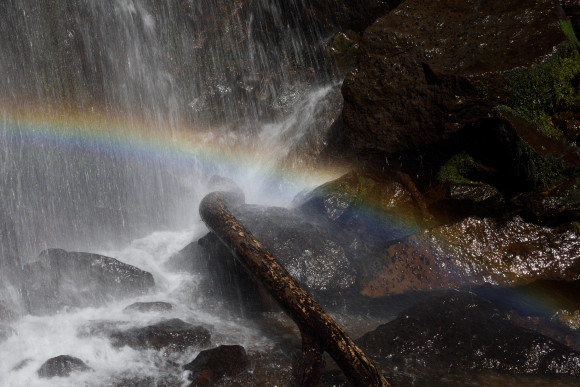 特別企画：ケンコー「ZX C-PLフィルター」を試す - デジカメ Watch