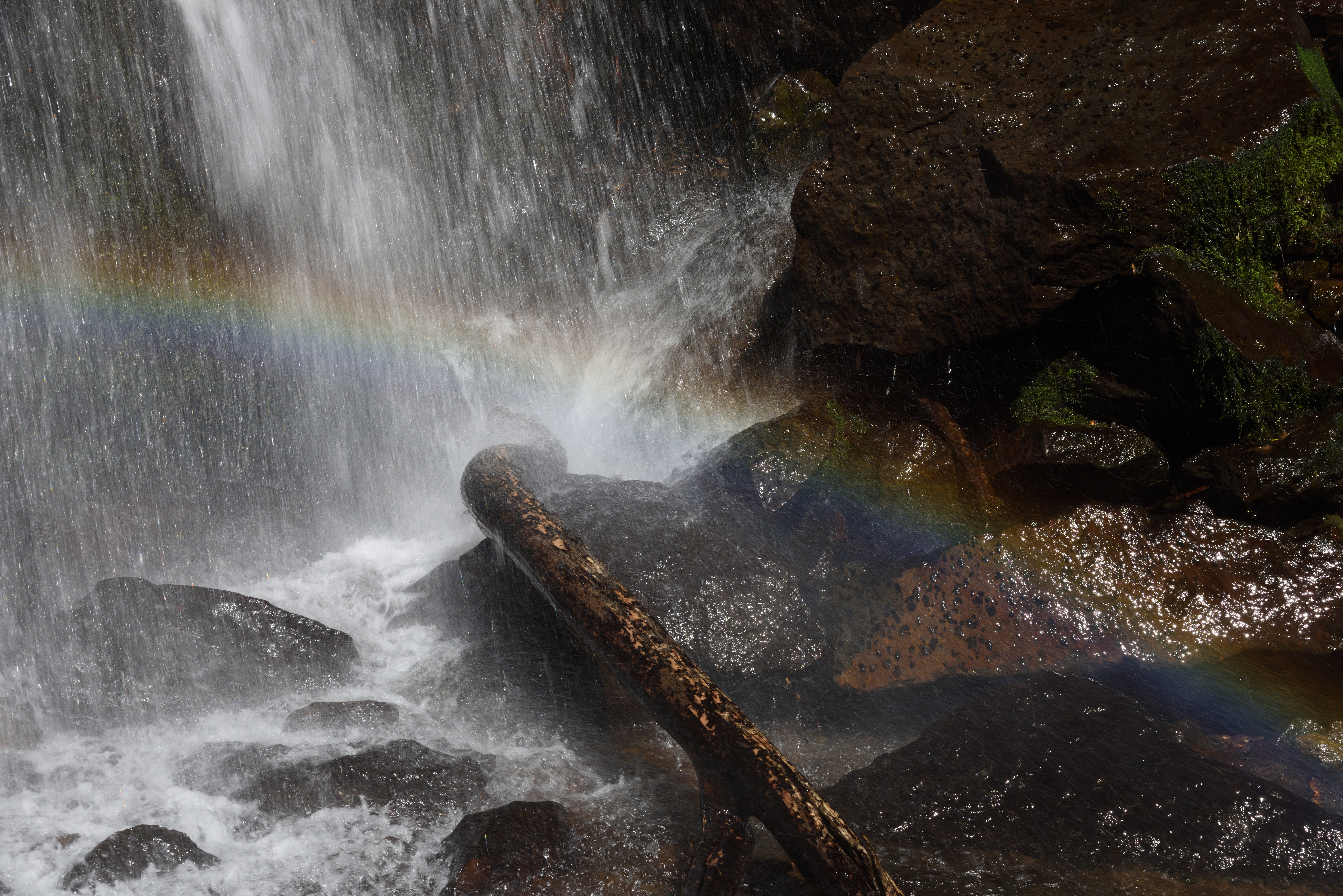 PLフィルター無し