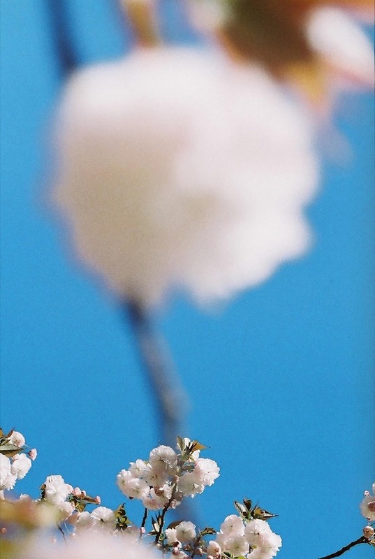 喰田佳南子『ほんの小さな 優しいこと』（上田 義彦選）