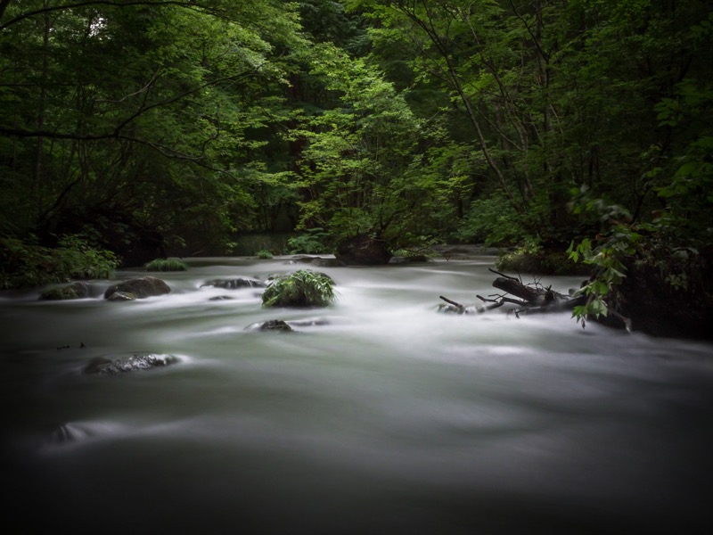 この日は前の週の大雨による濁流の影響で水が濁っていたためND400フィルターを装着して長秒露光で撮影。NDフィルター越しでもAFがスムーズに合うので撮影時にストレスがない。<br><span class="fnt-85">OLYMPUS OM-D E-M1 Mark II / M.ZUIKO DIGITAL 12-40mm F2.8 PRO / 21mm（42mm相当） / マニュアル露出（F16、20秒） / ISO 200</span>