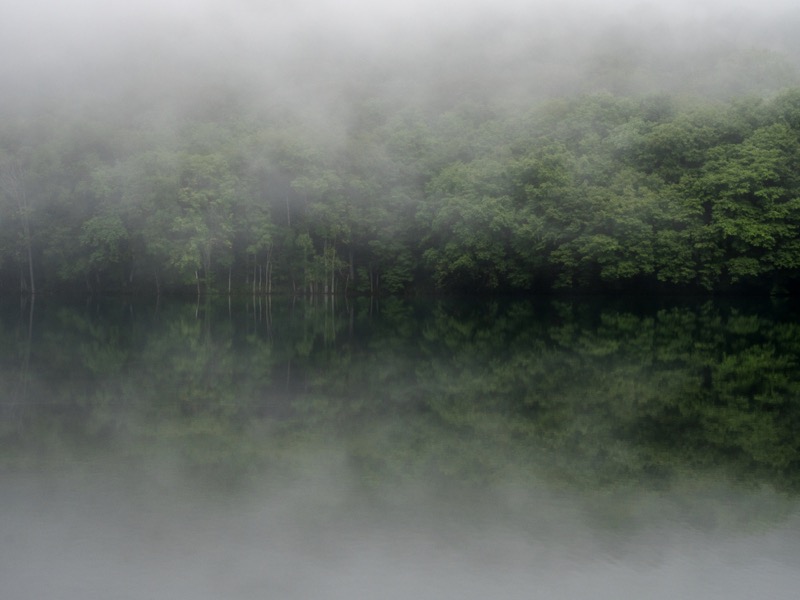 霧の動きが速く、現地に到着したときにはいまにも晴れてしまいそうだったので、すぐさまシャッターを切った。手持ちでの撮影にも関わらず、5軸手ぶれ補正のおかげで感度を上げず撮影できた。<br><span class="fnt-85">OLYMPUS OM-D E-M1 Mark II / M.ZUIKO DIGITAL 12-40mm F2.8 PRO / 40m(80mm相当） / 絞り優先AE （F2.8、1/100秒、-0.3EV） / ISO 200</span>