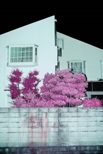 山谷佑介 ©Yusuke Yamatani