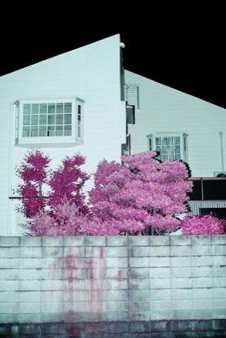 写真展レポート】LUMIX MEETS BEYOND 2020 BY JAPANESE PHOTOGRAPHERS