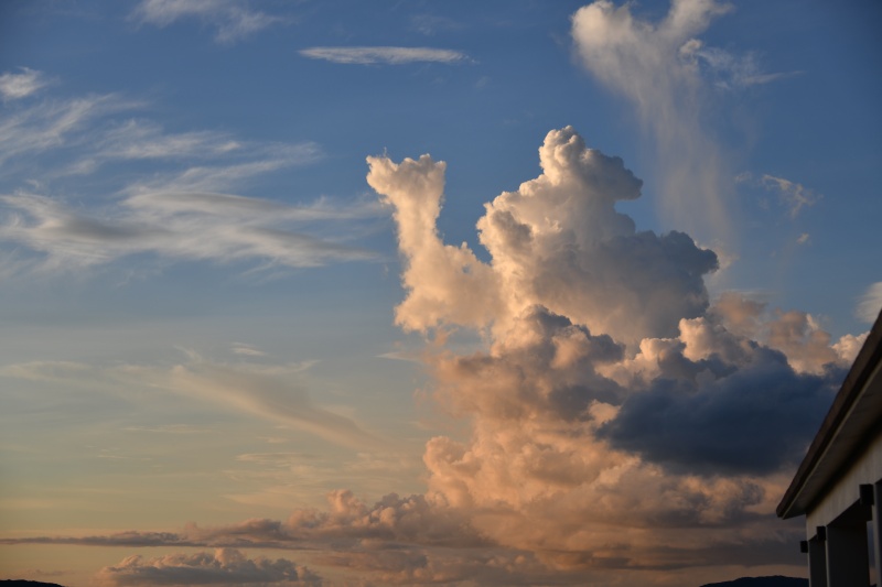 WB：自然光オート