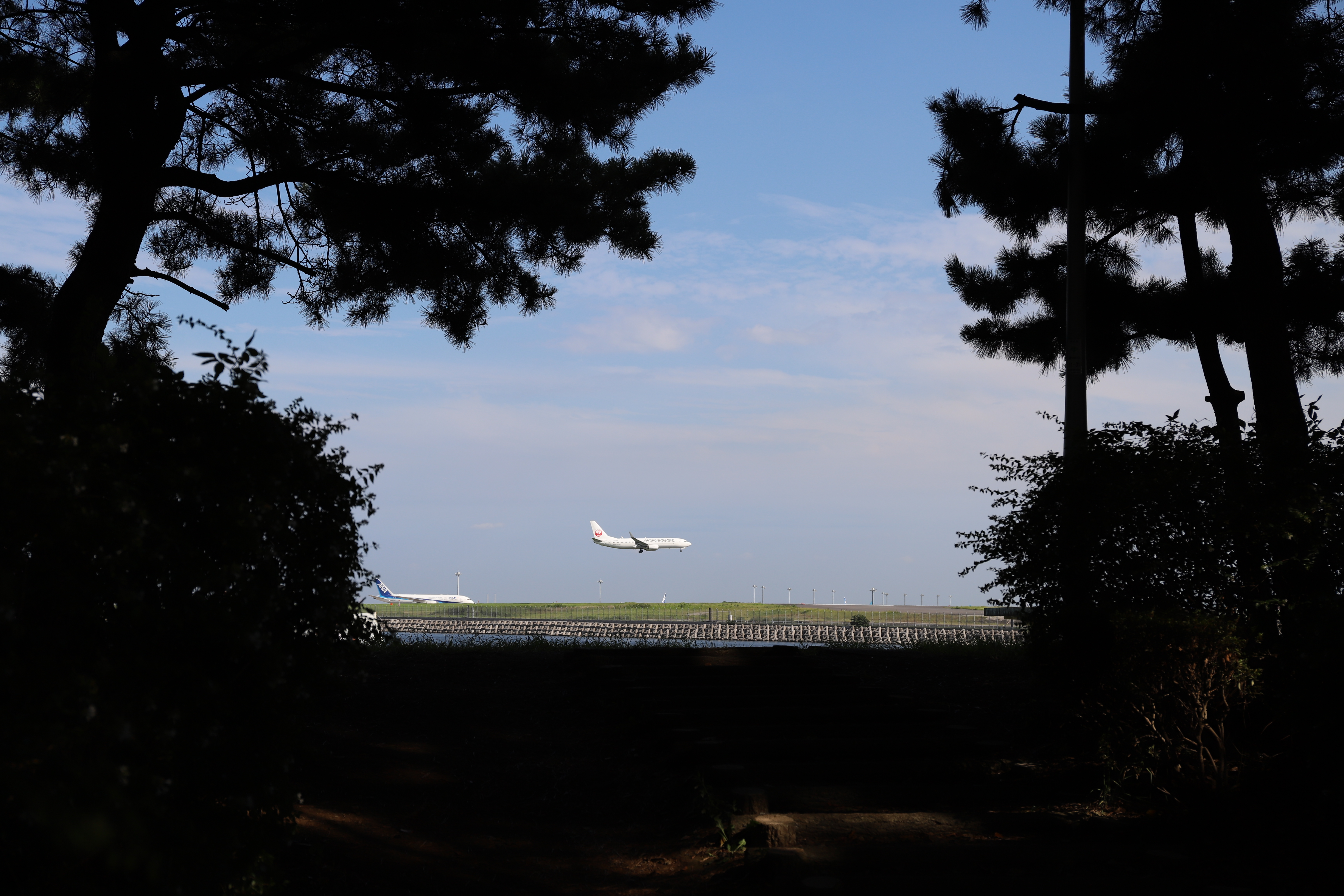 オートライティングオプティマイザ：しない。EOS 6D Mark II / EF 24-70mm F4 L IS USM / 1/800秒 / F5.6 / 0EV / ISO 100 / 絞り優先AE / 53mm