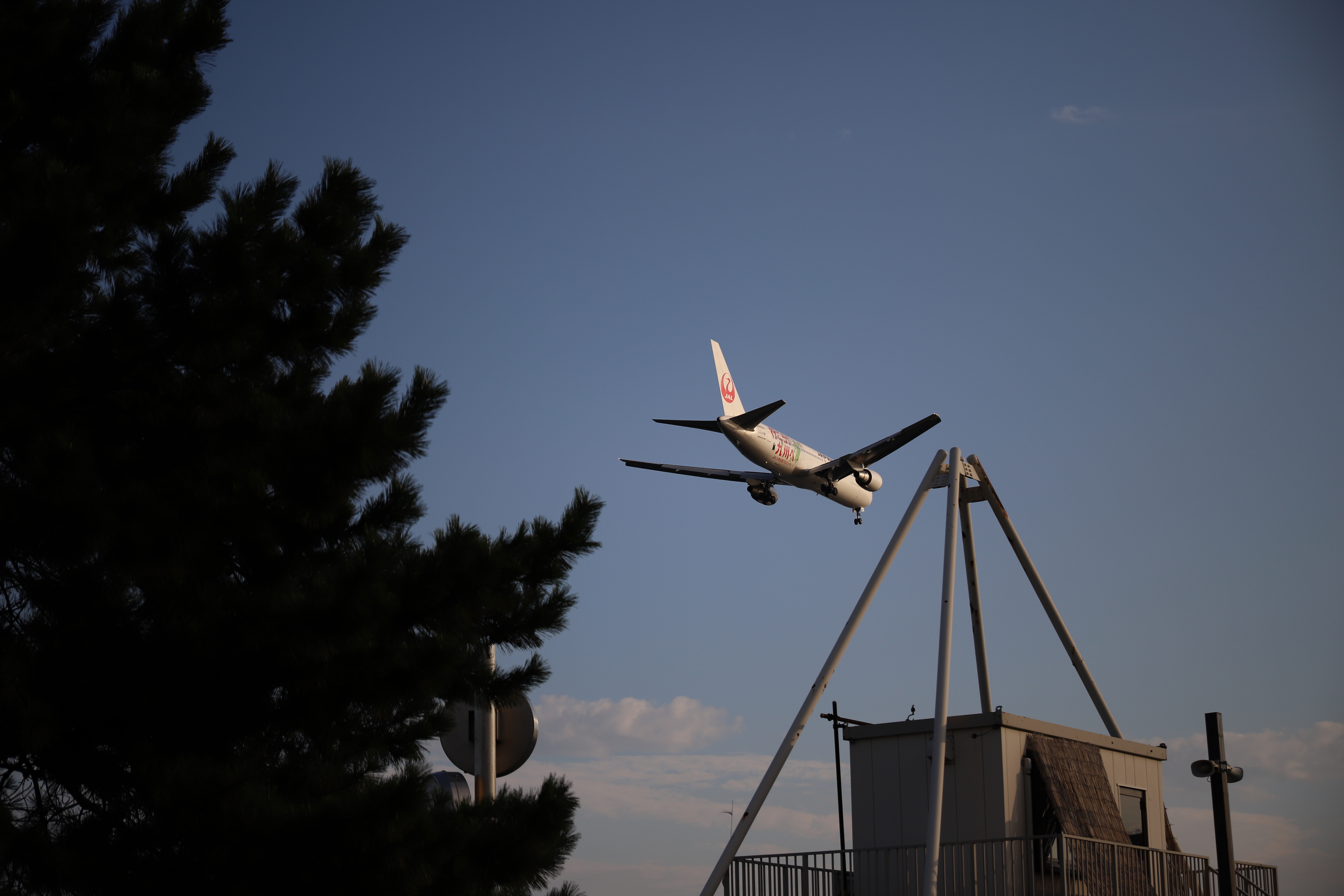 連写した中の1枚。EOS 6D Mark II / EF 24-70mm F4 L IS USM / 1/2,000秒 / F4 / -0.7EV / ISO 100 / 絞り優先AE / 70mm