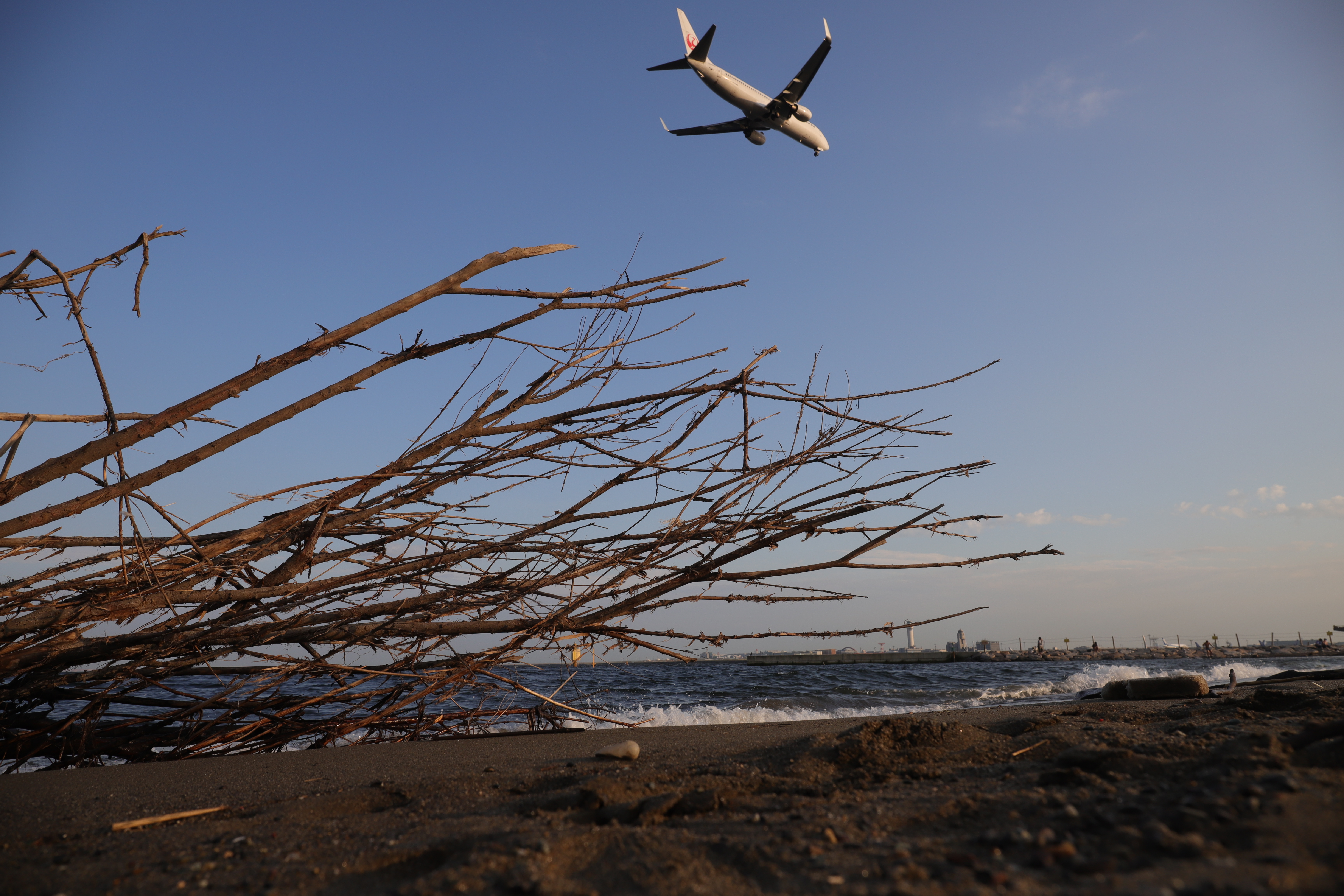 EOS 6D Mark II / EF 24-70mm F4 L IS USM / 1/500秒 / F8 / 0EV / ISO 200 / 絞り優先AE / 24mm