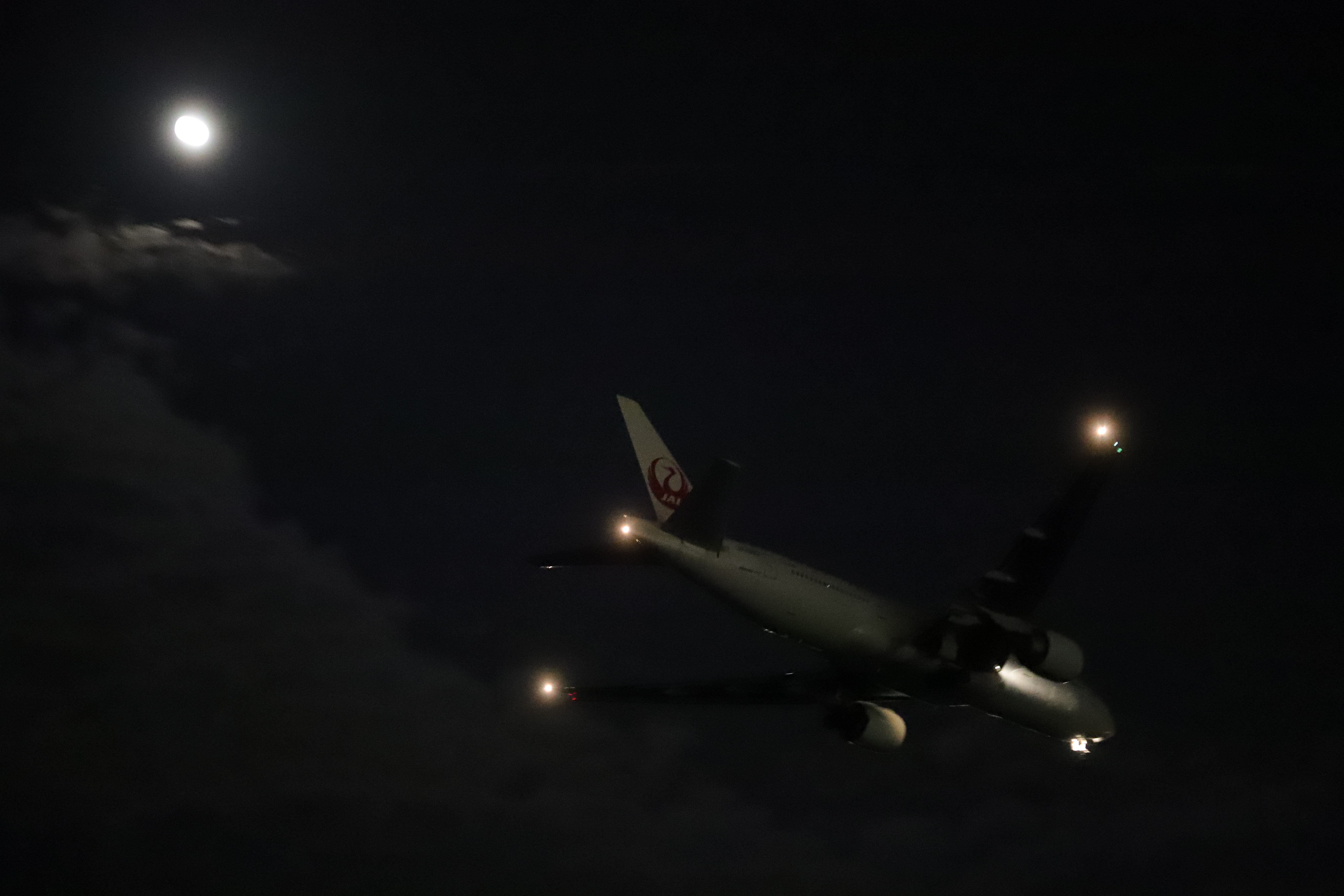 EOS 6D Mark II / EF 24-70mm F4 L IS USM / 1/60秒 / F4 / 0EV / ISO 25600 / マニュアル露出 / 70mm