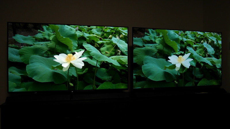 左のHDRでは白い花びらの陰影まで白トビなく再現されている。また、葉の緑色も階調幅の余裕から正確に再現されていた