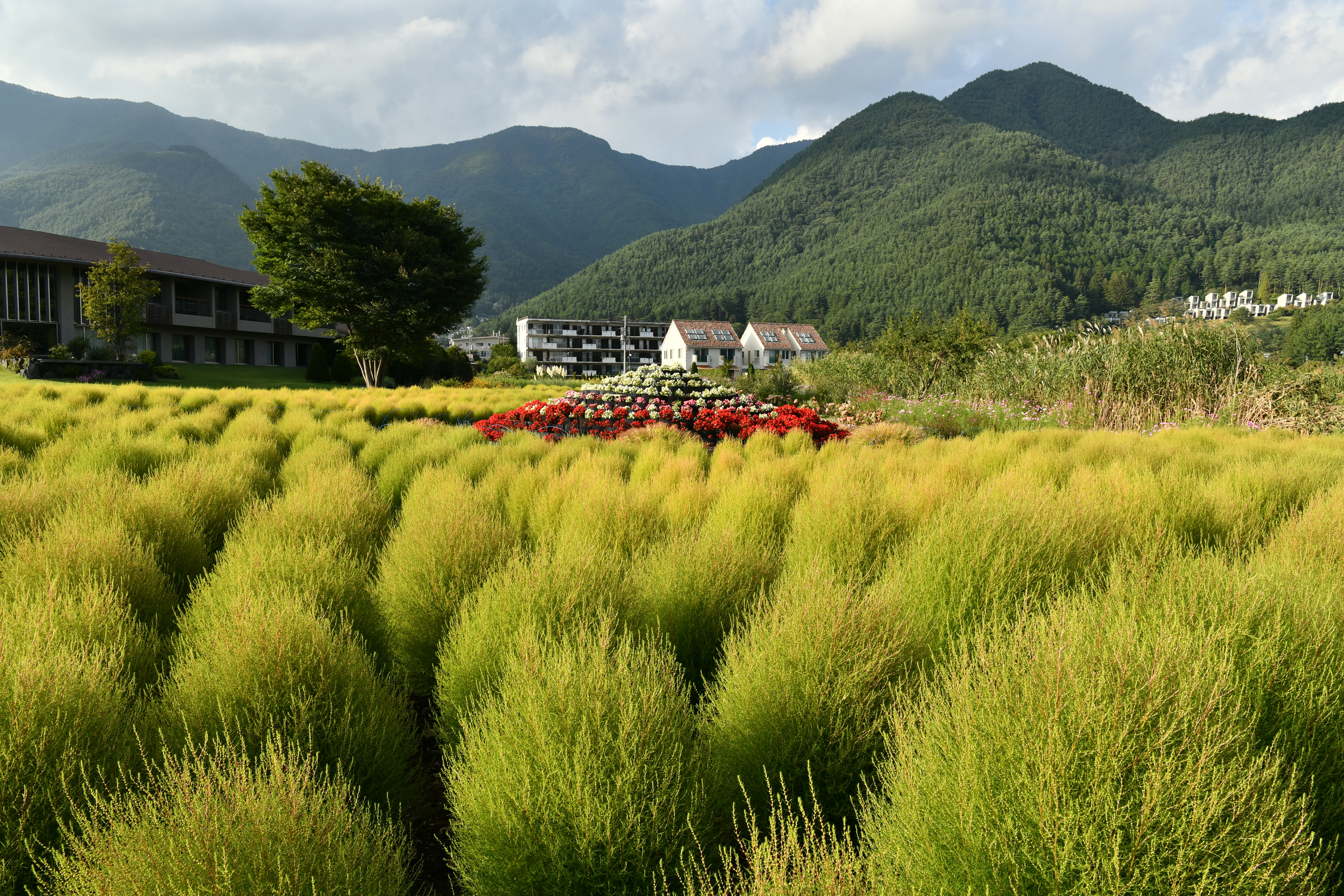 3枚で深度合成した例。D850 / AF-S NIKKOR 24-70mm f/2.8E ED VR / 1/320秒 / F11 / +0.3EV / ISO 200 / 絞り優先AE / 24mm