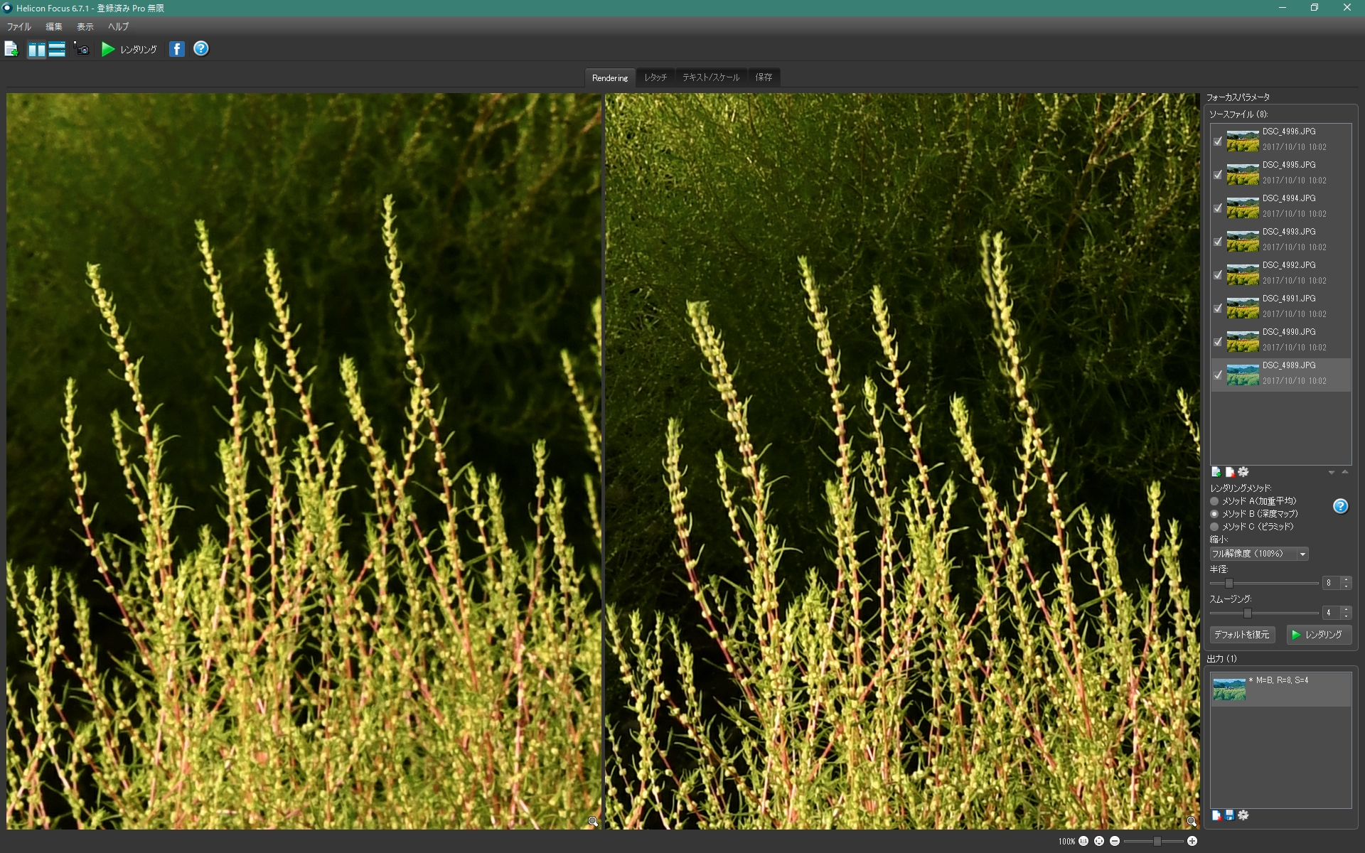 8枚で深度合成したものは近景が二重になる（画面右）。