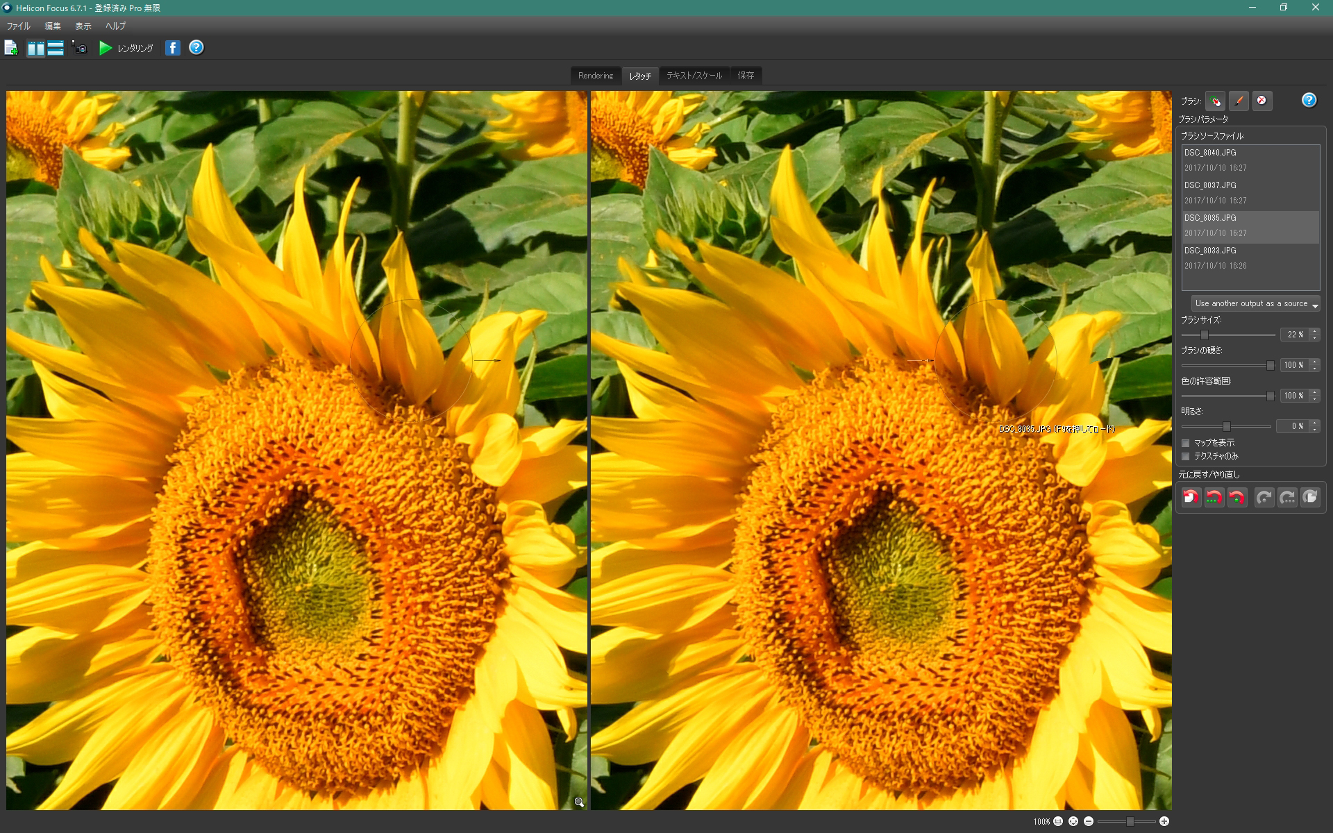 ヒマワリの花が風で揺れて、花びらが多重になっている。ファンクションキー［f・9］を押すと、マウスカーソルの置かれた箇所の合成に使用されている素材が自動的に選択され、左画面に表示される。右上のソースファイルを手動で選択することも可能。