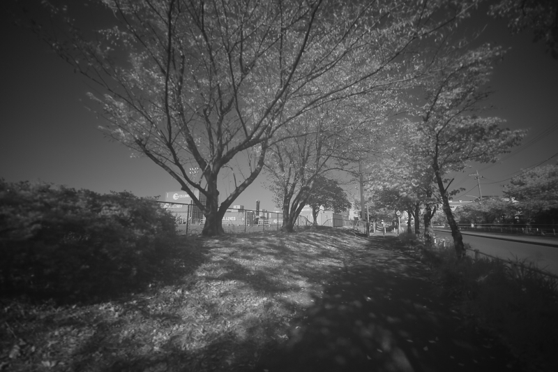 IRフィルター使用。EOS 6D / SIGMA 14mm F1.8 DG HSM | Art / 30秒 / F1.8 / 0EV / ISO 100 / マニュアル露出l / 14mm