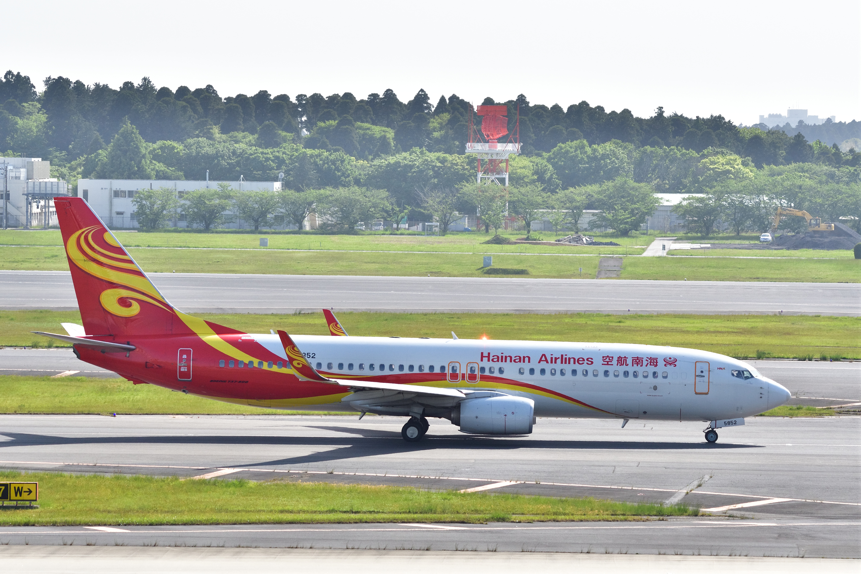 ぱっと目を惹く色味に惹かれてカメラを向けました。AFスピード速い! D500 / SIGMA 100-400mm F5-6.3 DG OS HSM / 1/1,600秒 / F7 / 0EV / ISO 400 / シャッター優先AE / 145mm