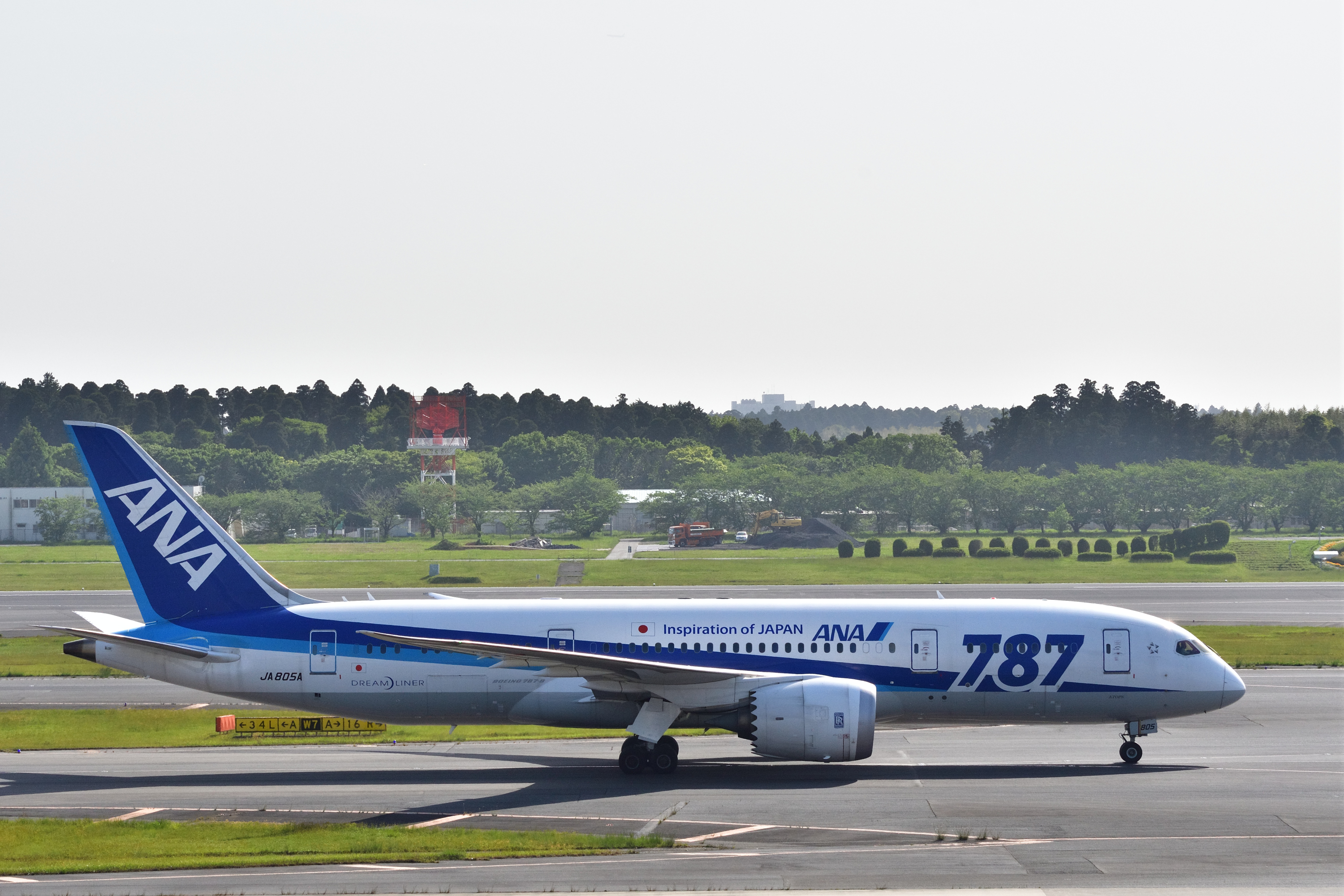 広角端。この機体が入ってくるととりあえず撮ってしまいます。太陽に向かって進んでいるので機体の上部がいい光り方をしました。D500 / SIGMA 100-400mm F5-6.3 DG OS HSM / 1/1,000秒 / F11 / 0EV / ISO 400 / シャッター優先AE / 100mm