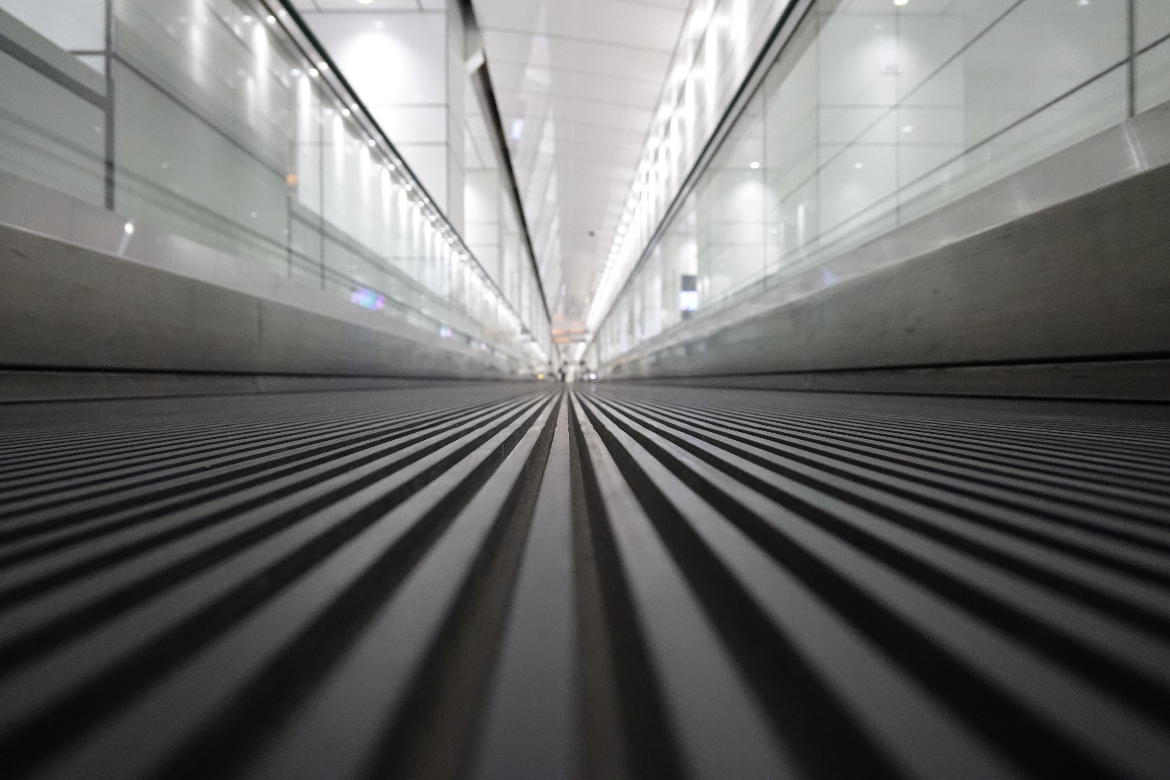 RX0 / 1/50秒 / F4 / 0EV / ISO 1600 / プログラムAE / 7.7mm