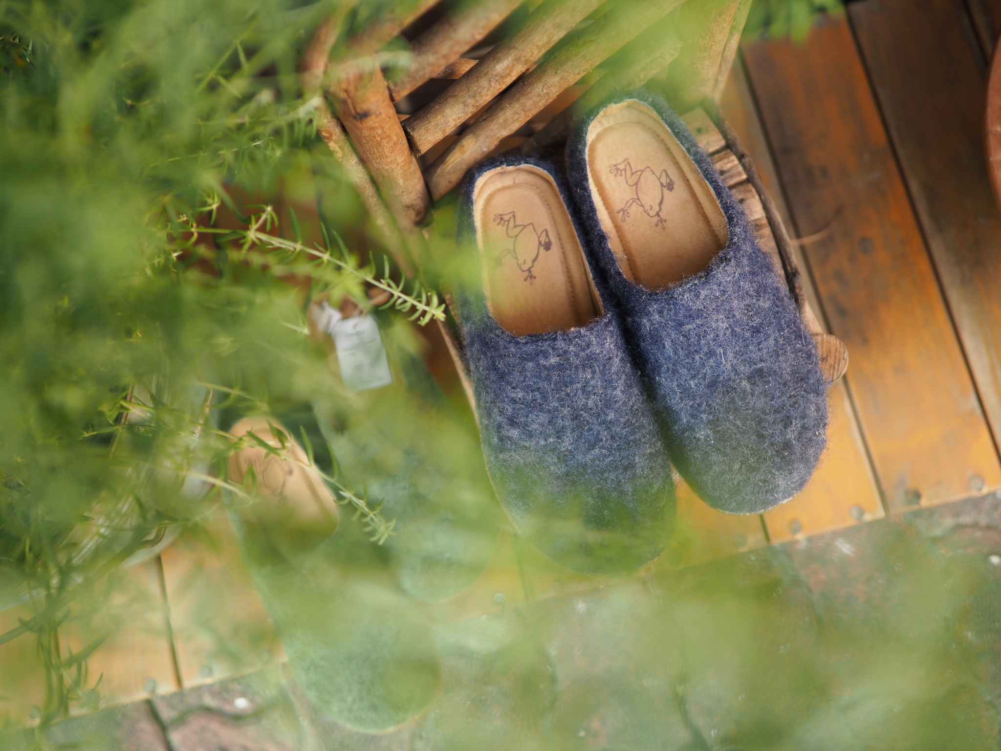 OLYMPUS PEN-F / M.ZUIKO DIGITAL 17mm F1.2 PRO / 1/320秒 / F1.2 / 0EV / ISO 200 / 絞り優先AE / 17mm