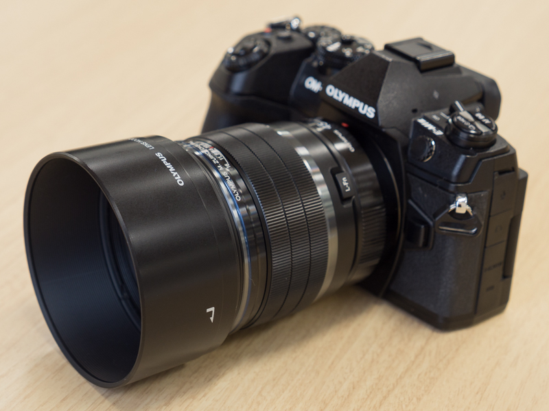 同梱のフードを装着したところ。