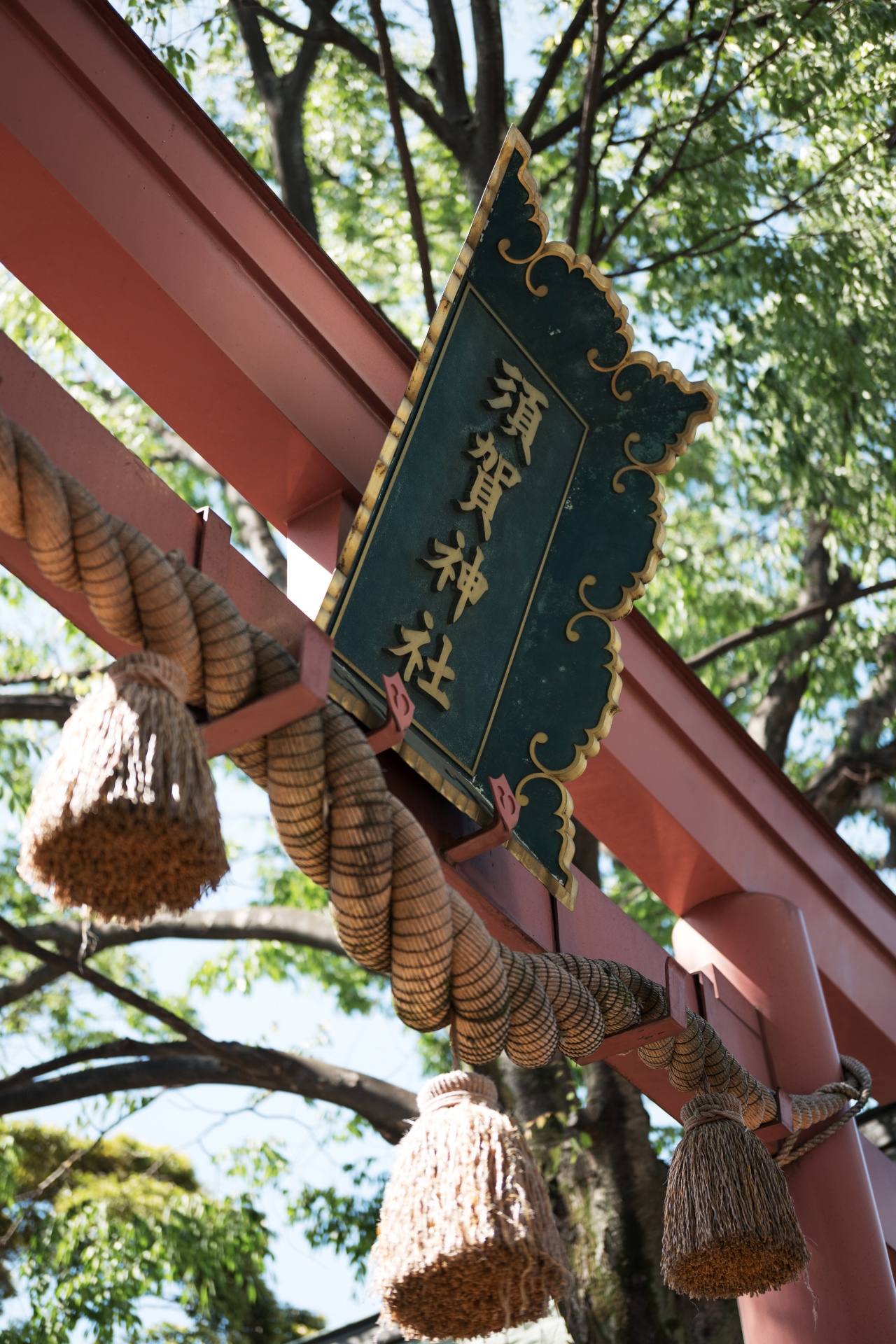 絞り開放で撮影。ピントの立ち上がり方からボケ味まで、本当によく写る。ライカSL / ISO100 / F1.4 / 1/1,250秒 / WB:オート