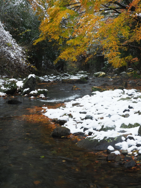 OLYMPUS OM-D E-M1 Mark II / M.ZUIKO DIGITAL ED 12-100mm F4.0 IS PRO / 1/13秒 / F8 / +0.3EV / ISO 200 / 絞り優先AE / 28mm