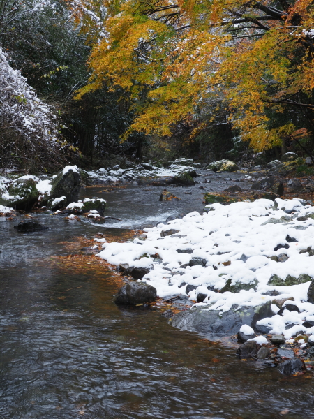 OLYMPUS OM-D E-M1 Mark II / M.ZUIKO DIGITAL ED 12-100mm F4.0 IS PRO / 1/30秒 / F8 / +0.3EV / ISO 200 / 絞り優先AE / 28mm