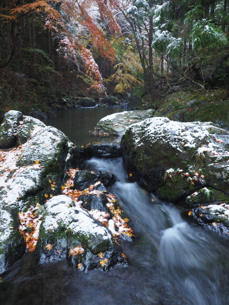 OLYMPUS OM-D E-M1 Mark II / M.ZUIKO DIGITAL ED 12-100mm F4.0 IS PRO / 1/1.6秒 / F5.6 / +0.3EV / ISO 800 / 絞り優先AE / 12mm
