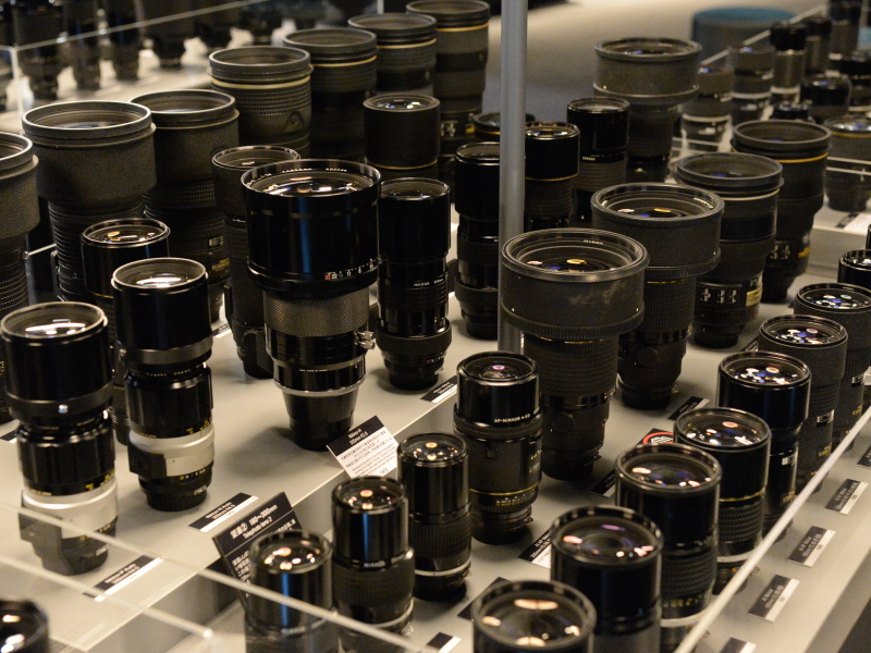 ニッコールの森。