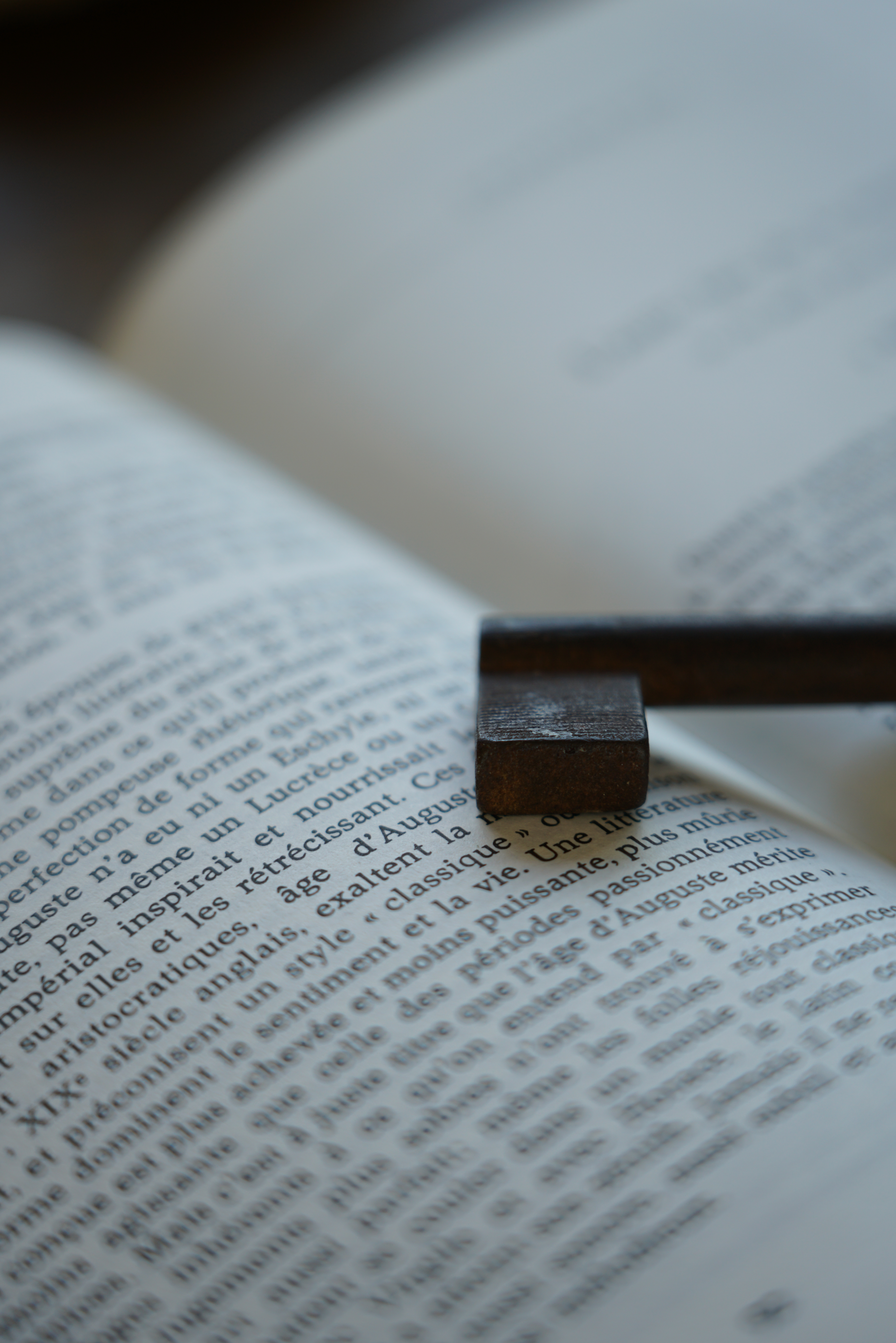 α7R II / FE 24-105mm F4 G OSS / 1/200秒 / F4 / 0EV / ISO 200 / 絞り優先AE / 105mm