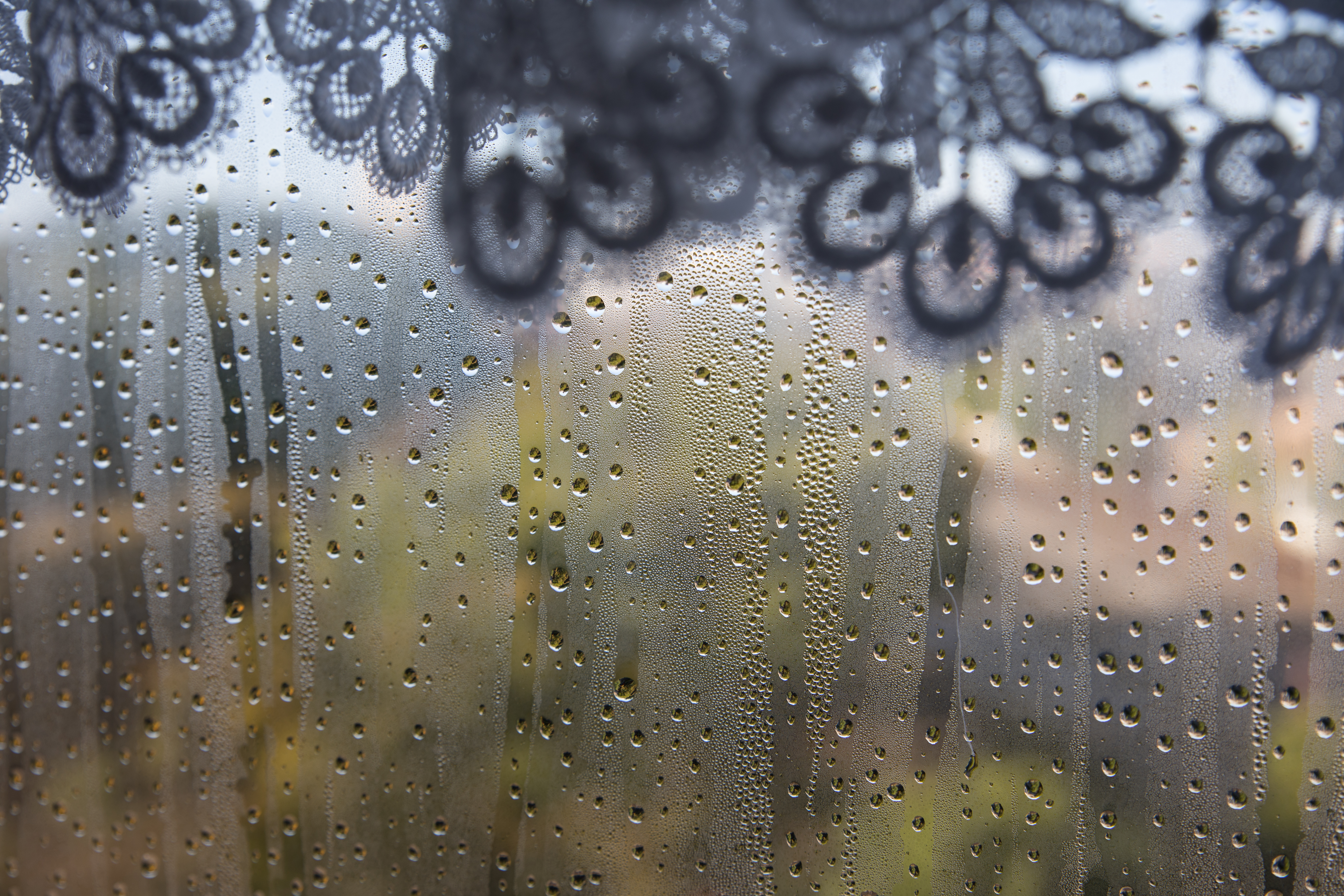 EOS 5D Mark IV / SP 24-70mmF/2.8 Di VC USD G2 / 1/125秒 / F5.6 / ＋0.5 EV / ISO100 / 絞り優先AE / 50mm