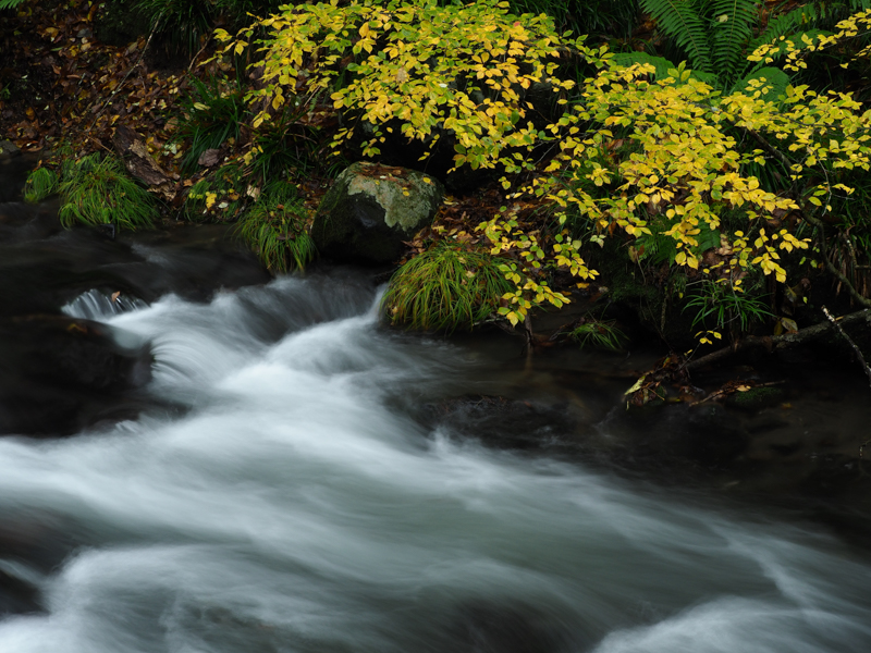 OM-D E-M1 Mark II / M.ZUIKO DIGITAL ED 40-150mm F2.8 PRO / 1秒 / F13 / 48mm（96mm相当） / ISO 200