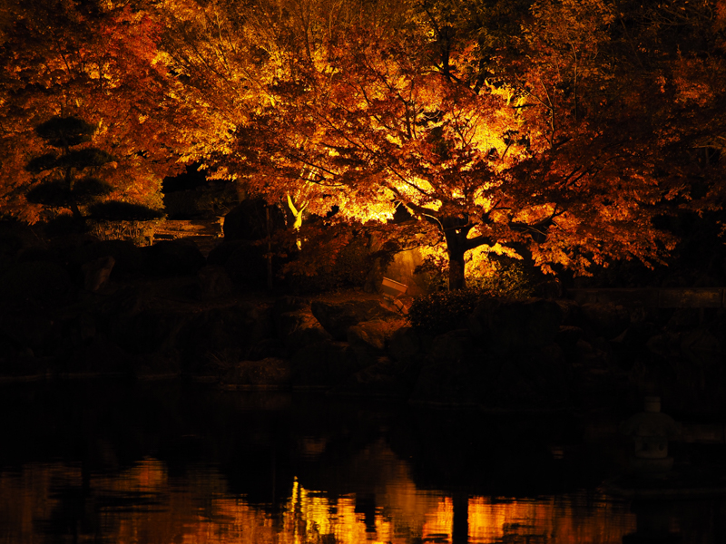 OM-D E-M1 Mark II / M.ZUIKO DIGITAL ED 40-150mm F2.8 PRO / 1/6秒 / F2.8 / 40mm（80mm相当） / ISO 200