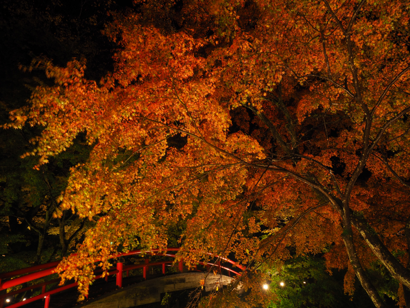OM-D E-M1 Mark II / M.ZUIKO DIGITAL 12-40mm F2.8 PRO / 1.3秒 / F8.0 / 12mm（24mm相当） / ISO 200