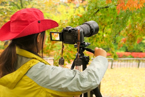 特別企画 シーズン到来 三脚が必要な紅葉撮影とは デジカメ Watch