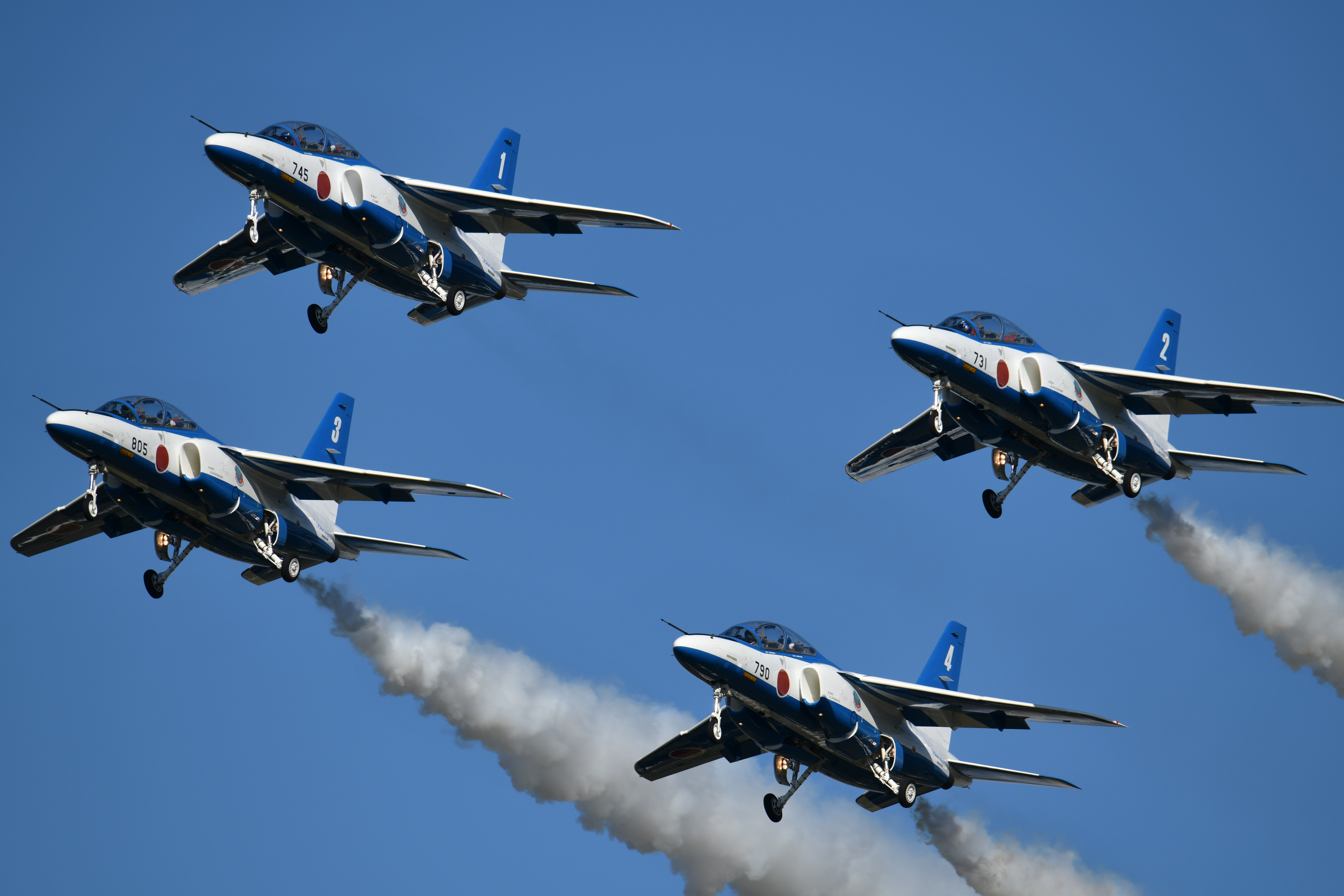 D850 / SP 150-600mm F/5-6.3 Di VC USD G2 / 1/1,000秒 / F9.0 / 600mm / ISO 160