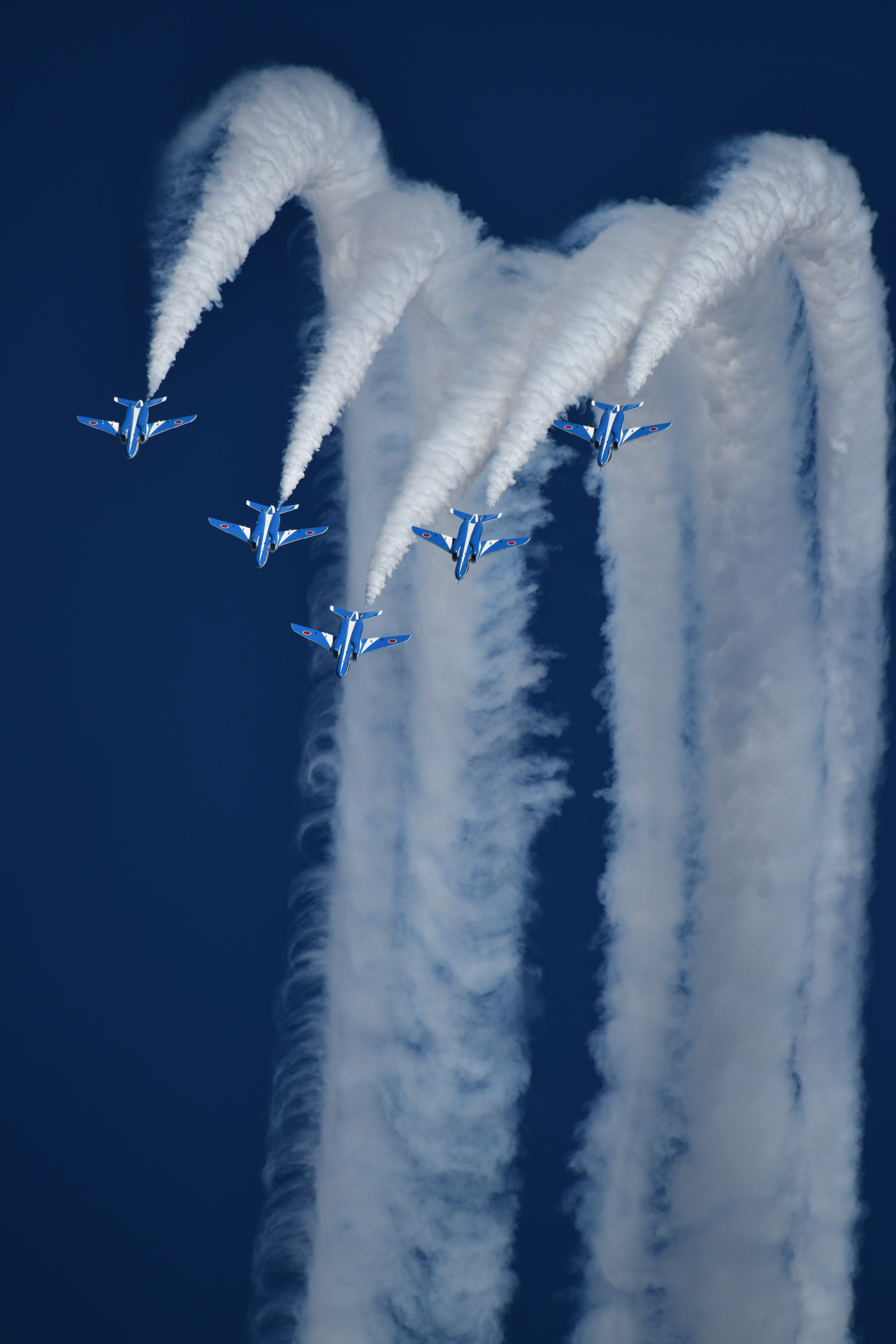 D850 / SP 150-600mm F/5-6.3 Di VC USD G2 / 1/1,600秒 / F8.0 / 600mm / ISO 200