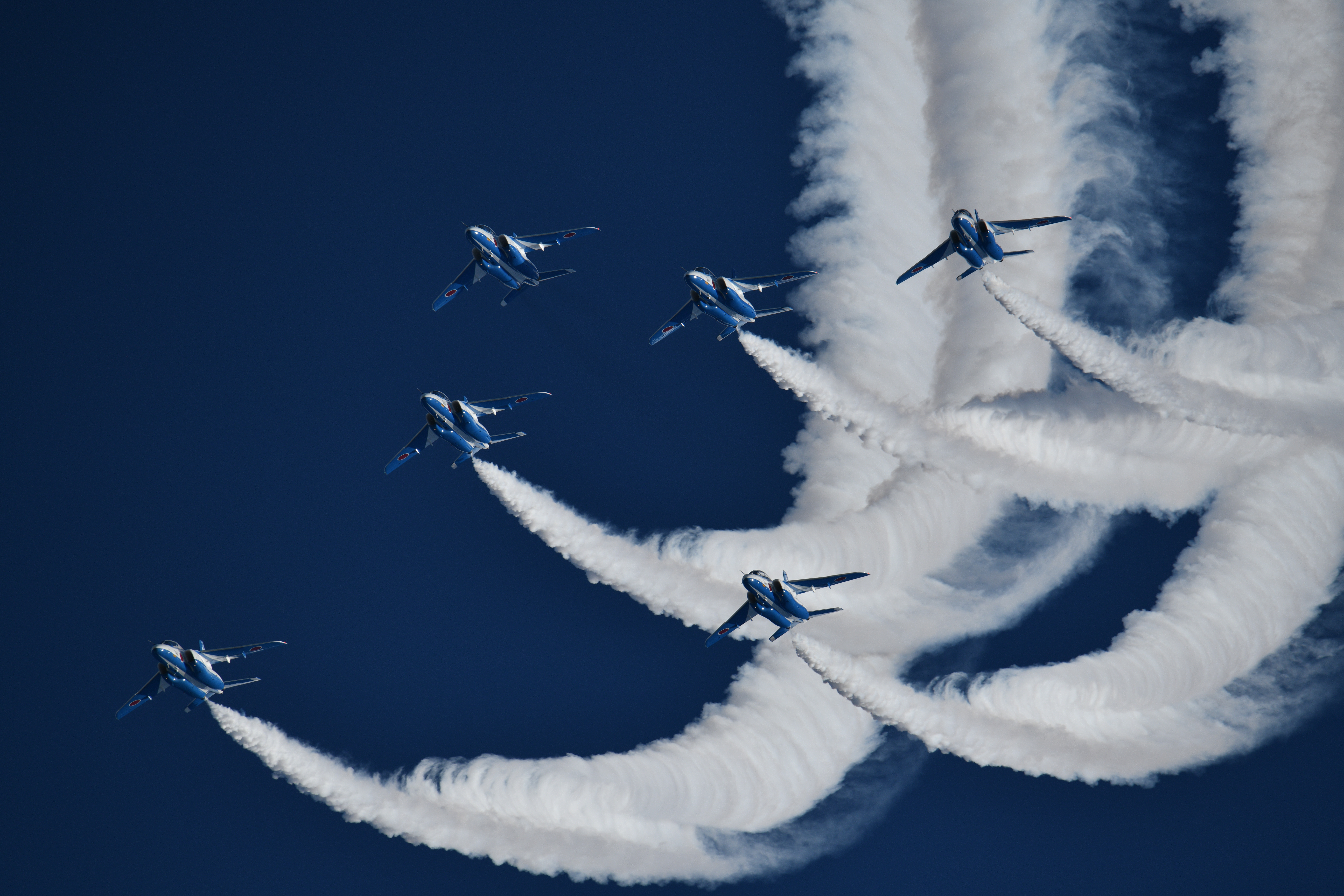 D850 / SP 150-600mm F/5-6.3 Di VC USD G2 / 1/1,600秒 / F9.0 / 600mm / ISO 200