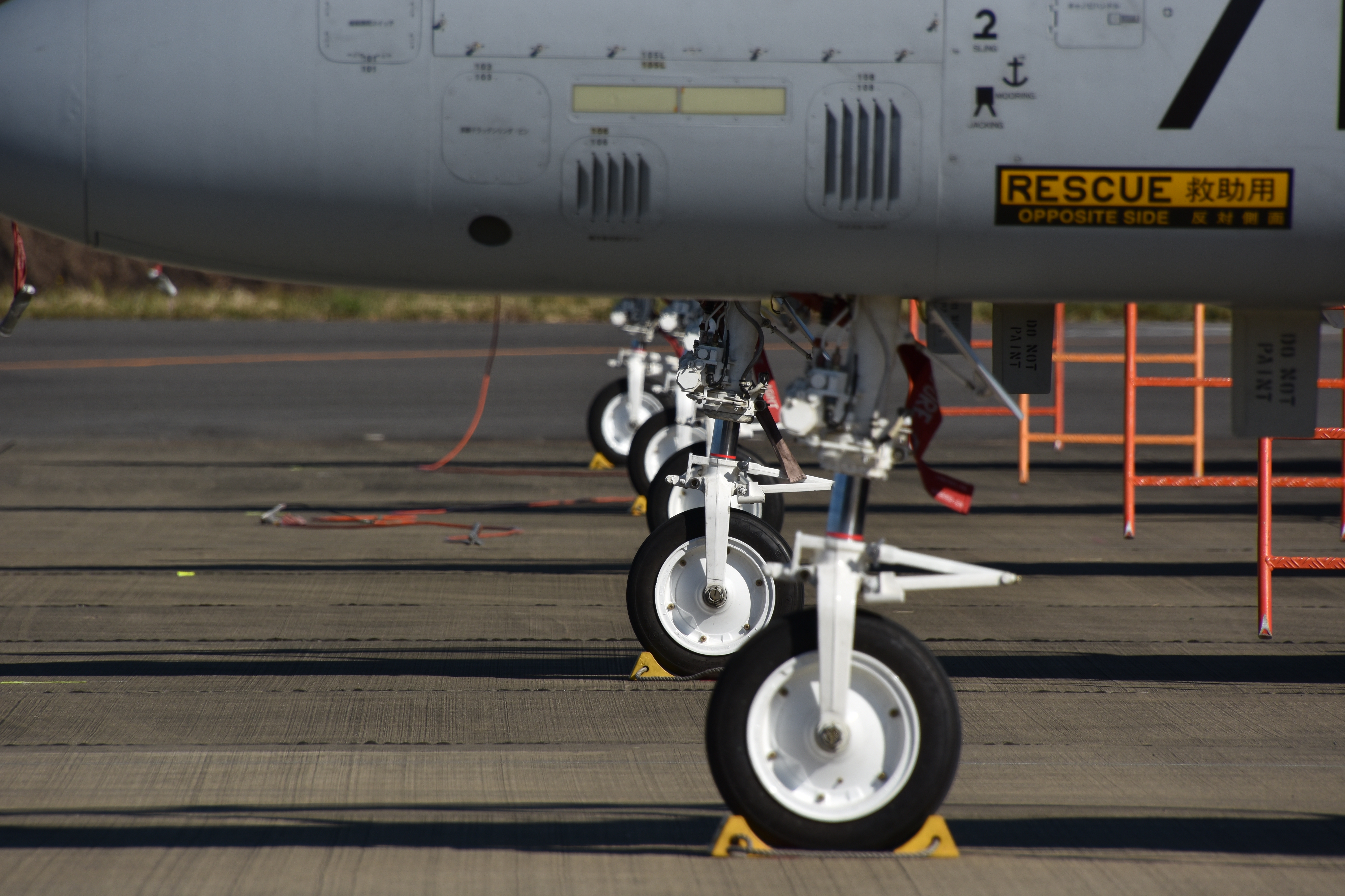 D7200 / 18-400mm F/3.5-6.3 Di II VC HLD / 1/500秒 / F11 / 400mm（600mm相当） / ISO 100