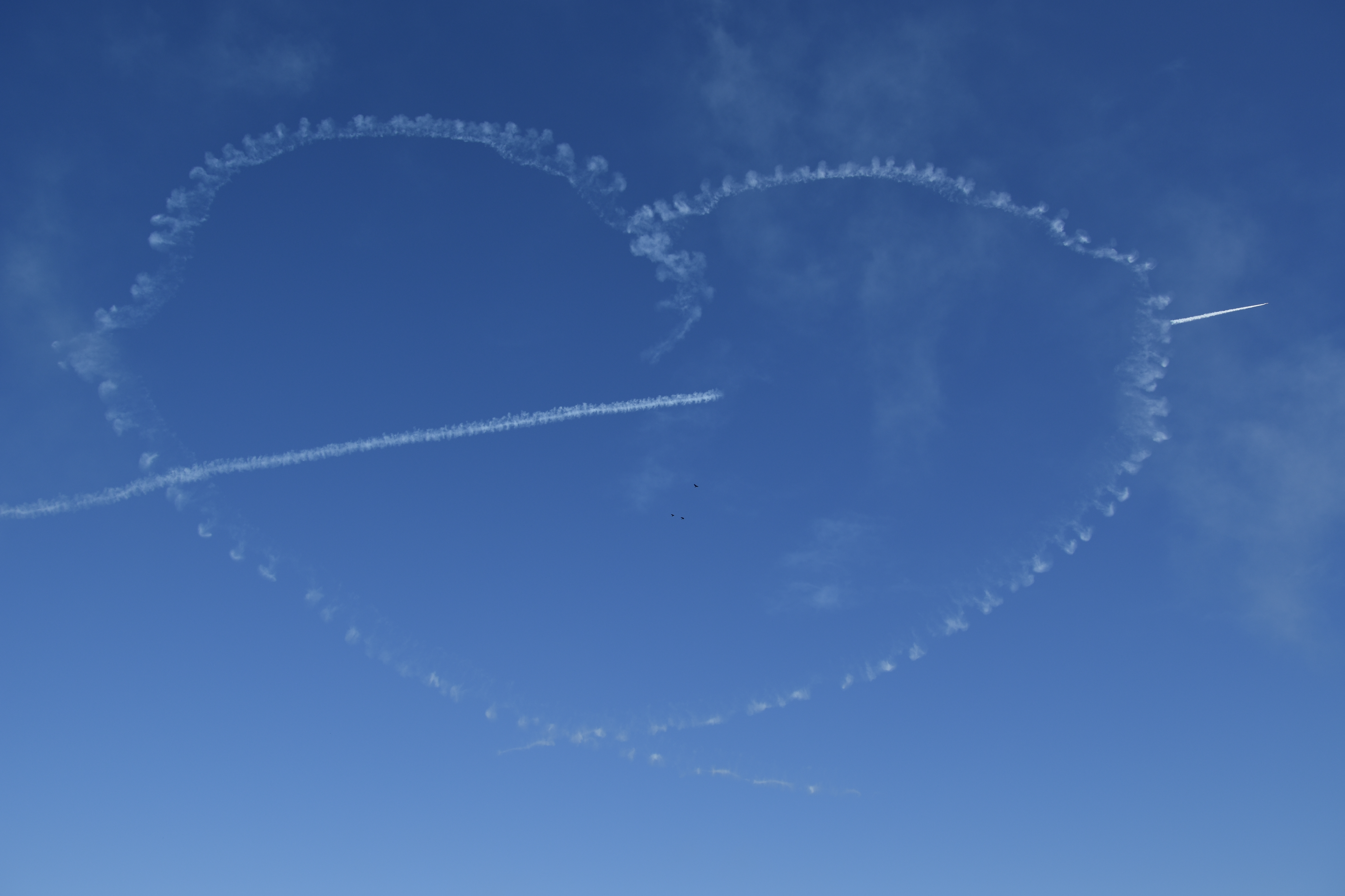 D7200 / 18-400mm F/3.5-6.3 Di II VC HLD / 1/500秒 / F8 / 18mm（27mm相当） / ISO 100