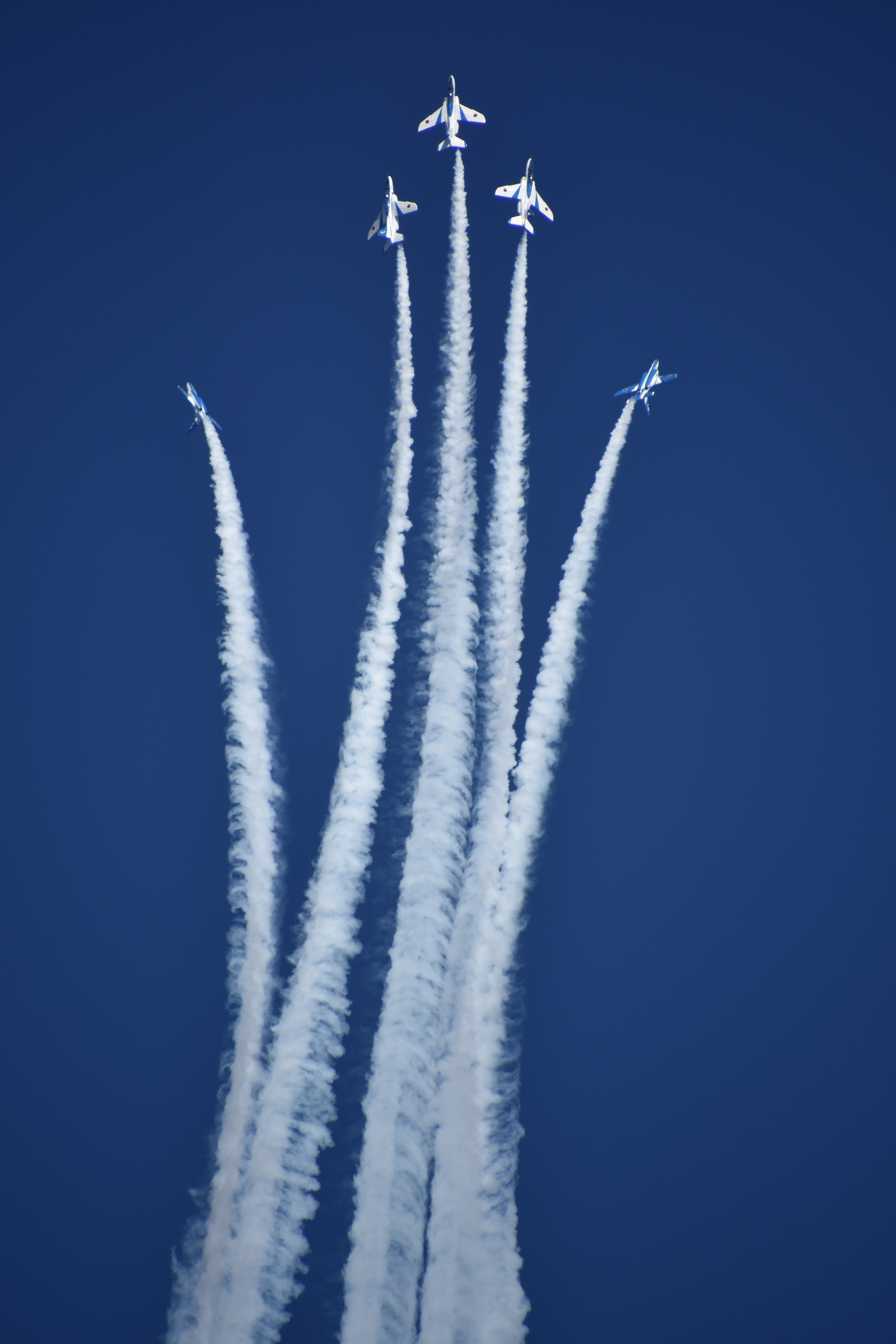 D7200 / 18-400mm F/3.5-6.3 Di II VC HLD / 1/1,600秒 / F7.1 / 400mm（600mm相当） / ISO 200