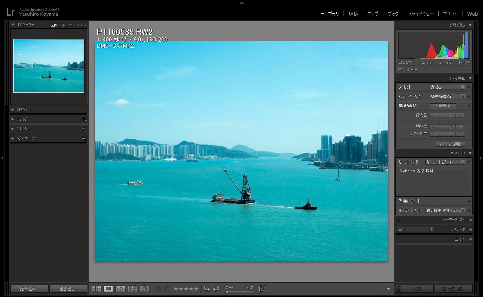 Lightroom Classic CCにはキーワードが設定されている。