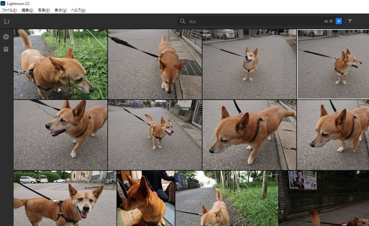 Addobe Senseiを使った検索。ただし、なぜか「dog」などの英語検索はできたが、現段階では日本語での検索はできなかった