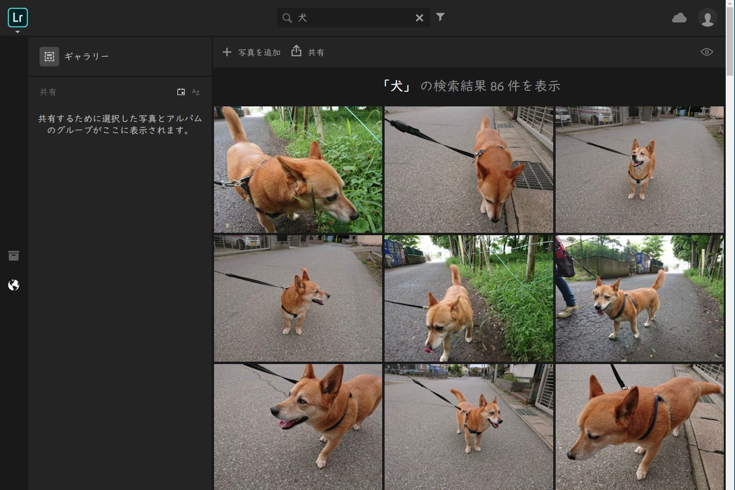 Web版では問題なく検索できている。